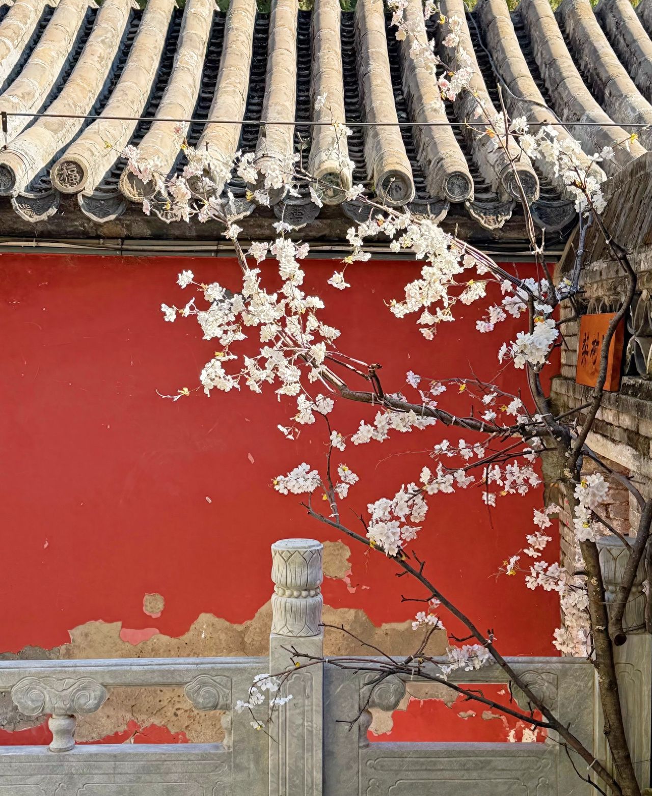 Photo by Tanzhe Temple - Red Walls, Stone Balustrades, and the Two-Qiao Magnolia