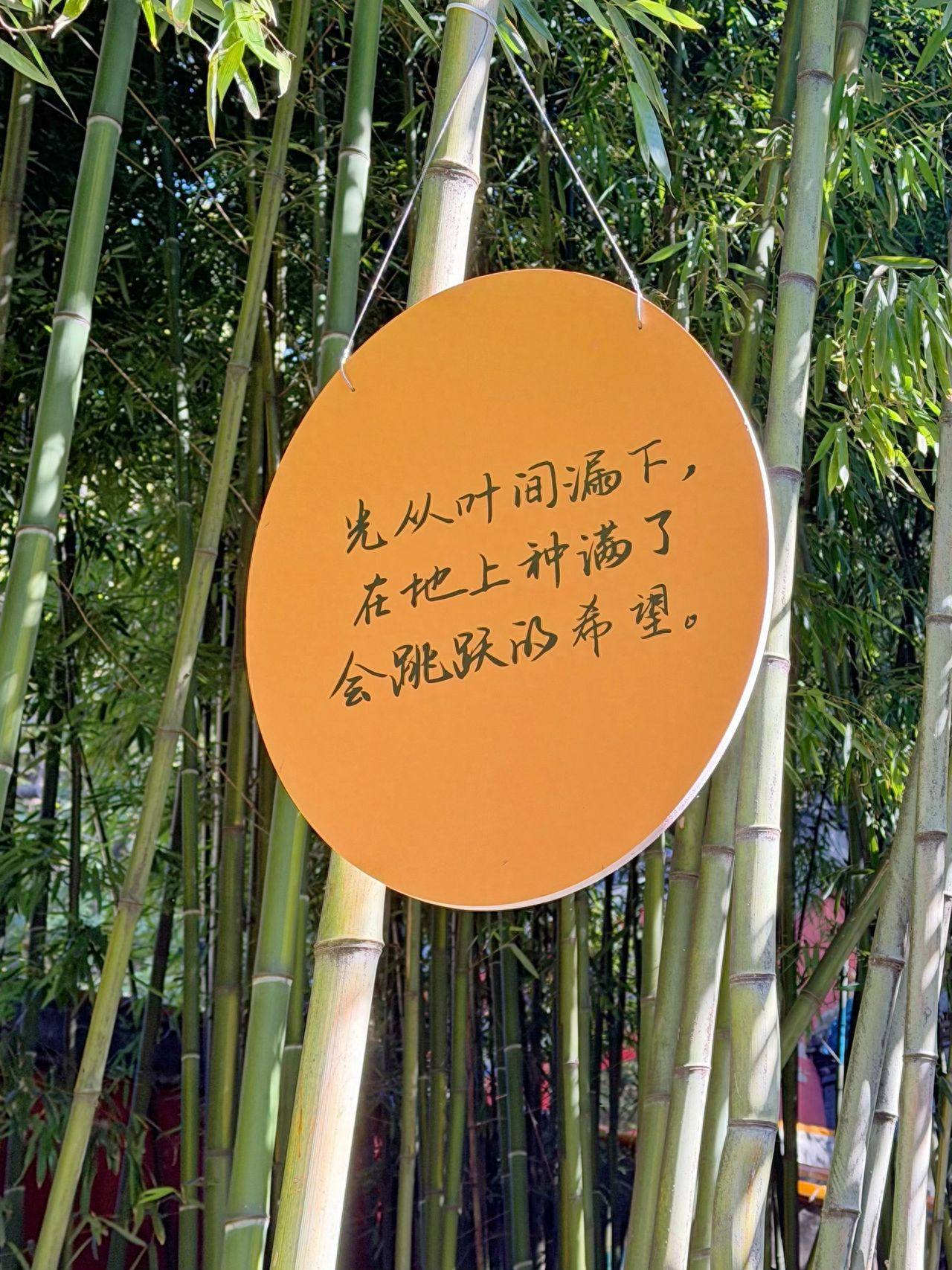 Photo by Tanzhe Temple - The yellow circular sign among the bamboo forest.