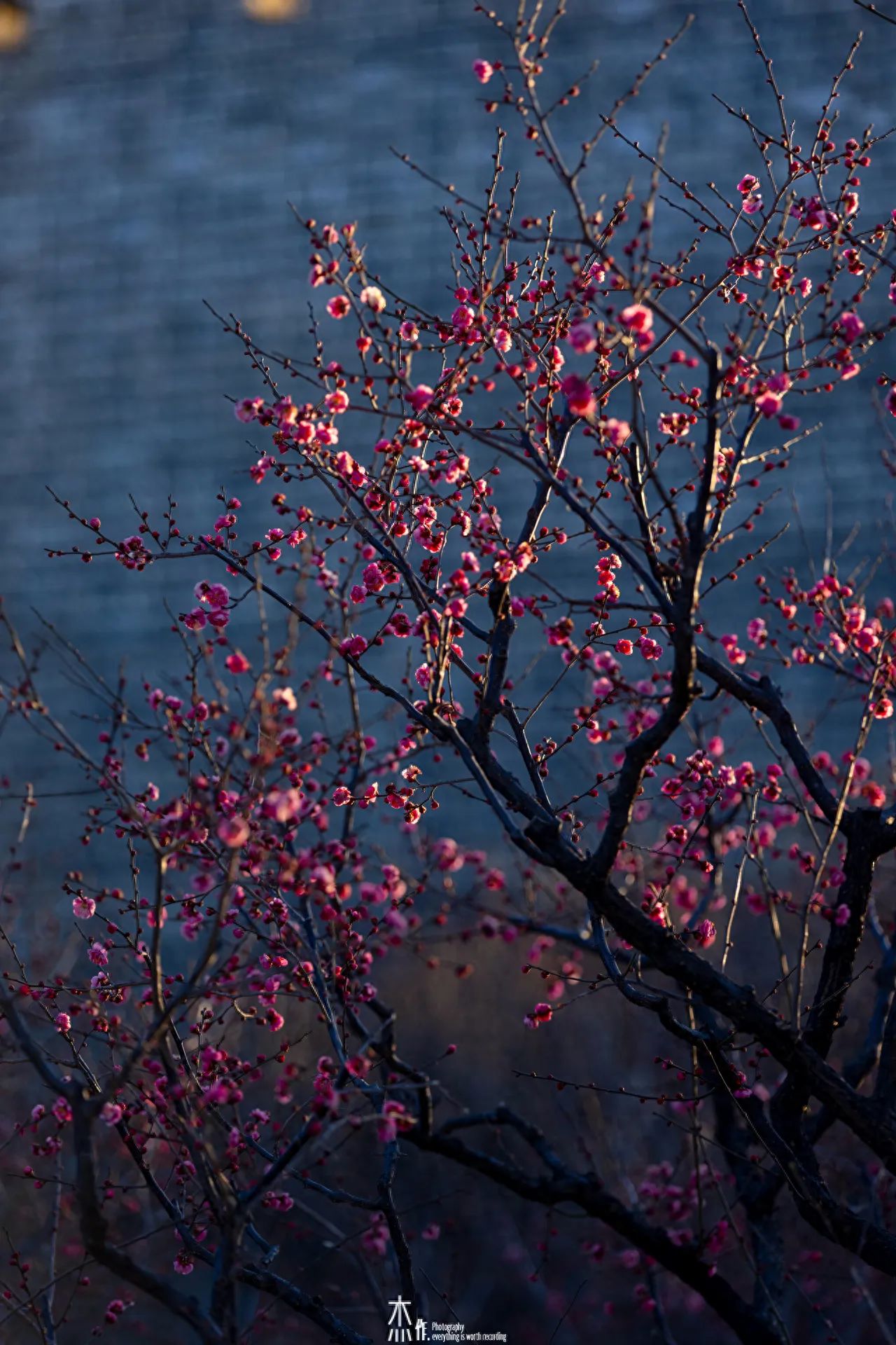 Photo by Ming City Wall Ruins Park - Meihua and City Wall