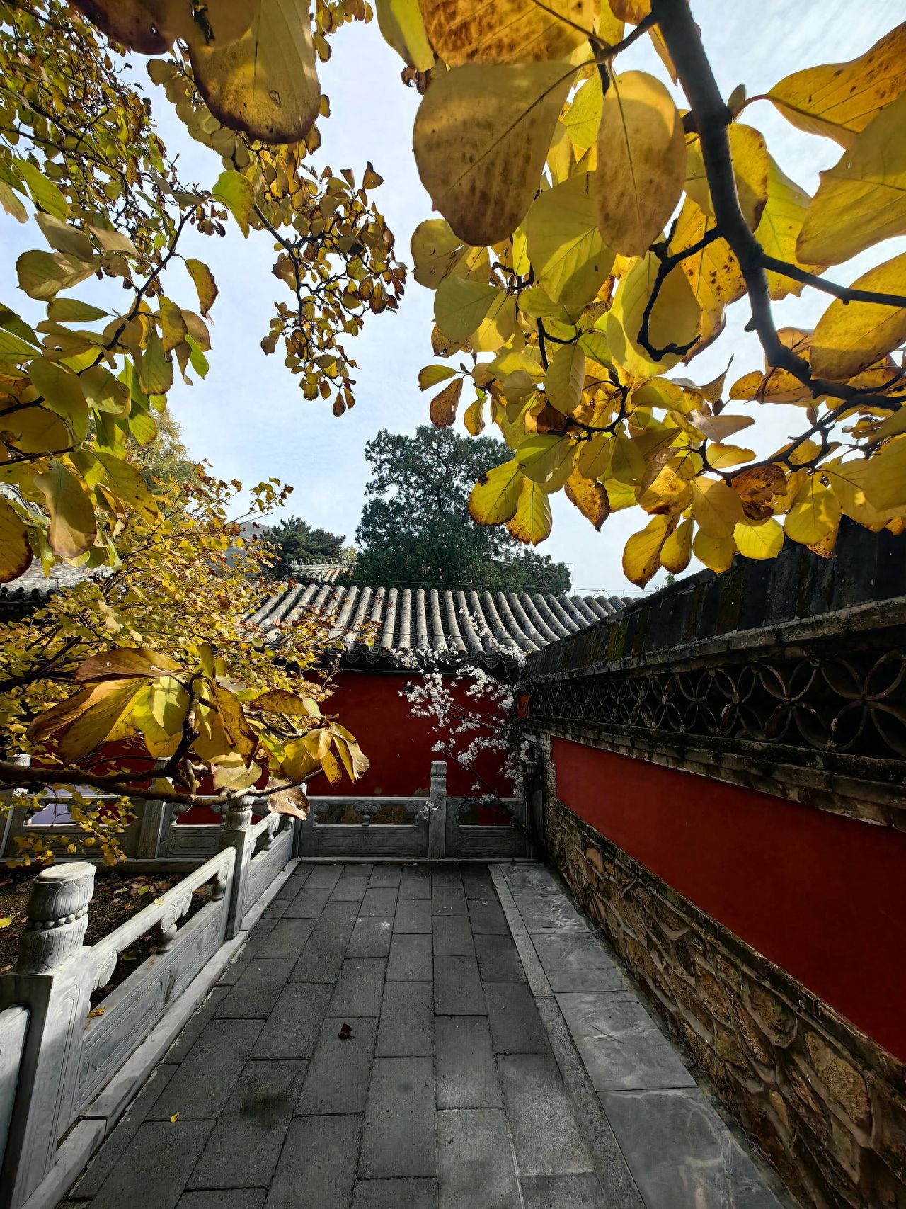 Photo by Tanzhe Temple - Trail railings, temple architecture, and greenery