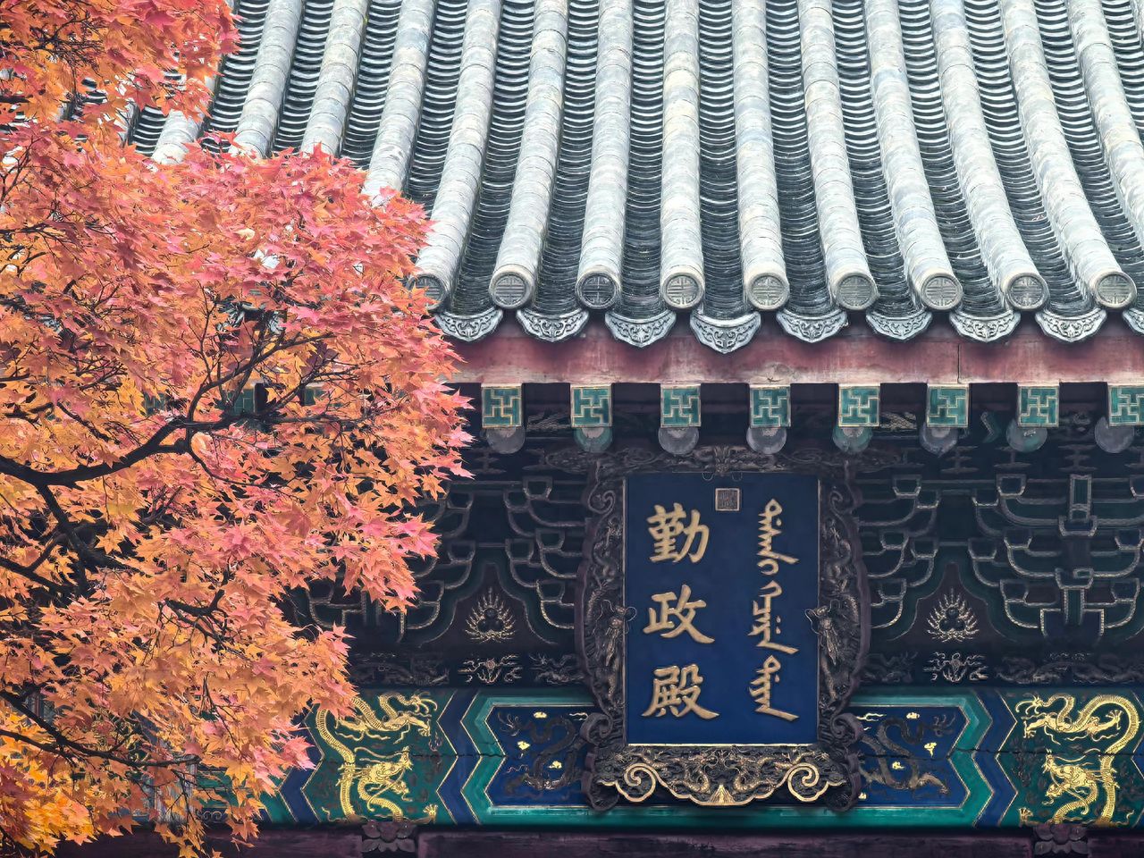 Photo by Beijing Xiangshan Park - Qinzheng Hall Plaque and Red Leaves