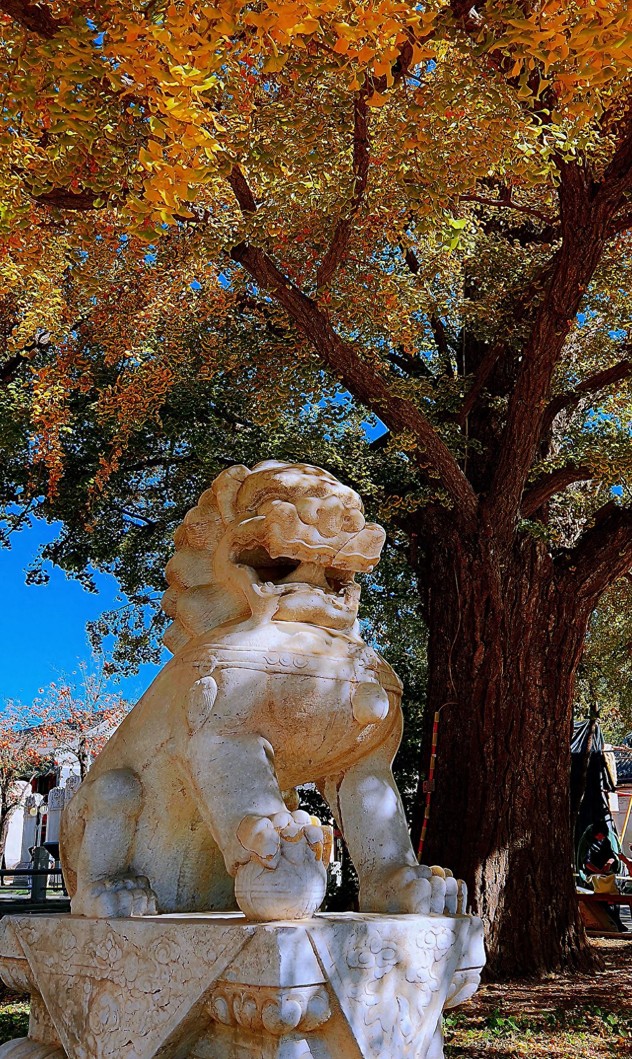 Photo by Beijing Five Pagodas Temple - Stone Lion Sculptures and Ginkgo Trees