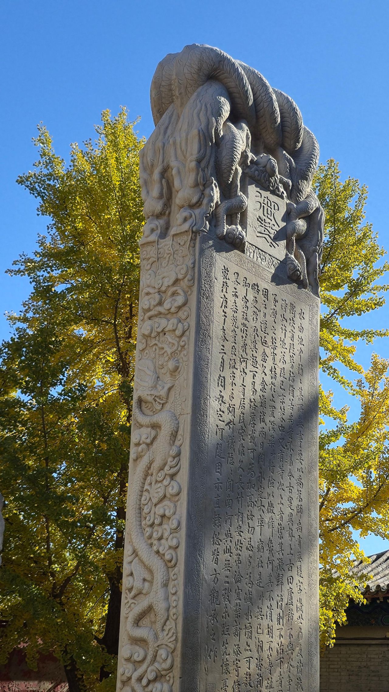 Photo by Beijing Stone Carving Art Museum - Side Dragon Carving Stone Stele