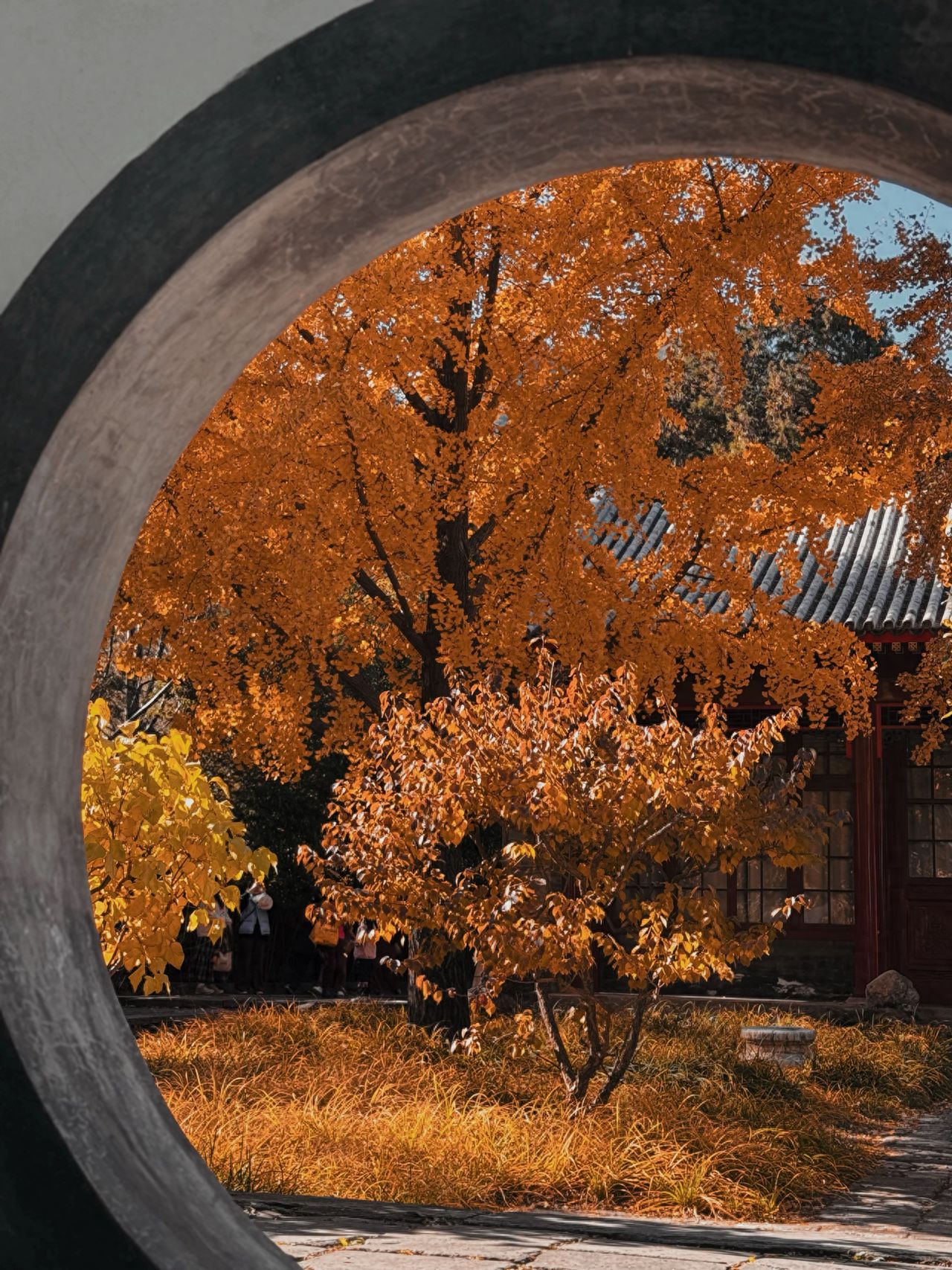 Photo by Beijing Xiangshan Park - Autumn Scenery Captured through a Circular Archway