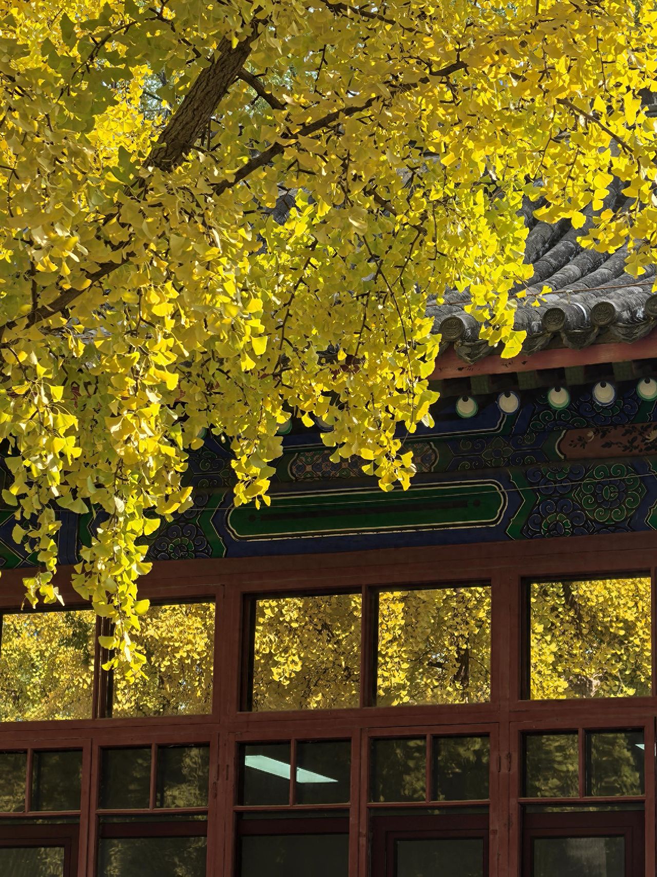 Photo by Beijing Imperial College - Eaves, Windows, and Foliage