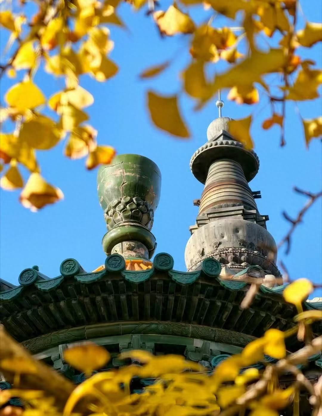 Photo by Stone Carving Art Museum - Capturing the ancient architectural tower tip through ginkgo branches.