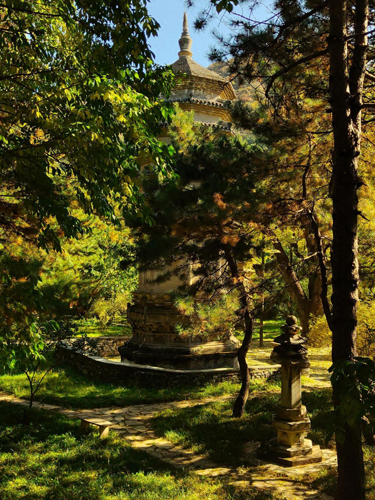 Photo by Tanzhe Temple - Capturing the tall pagoda through the trees.