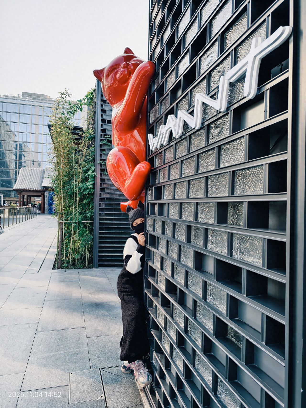 Photo by Da Ji Alley Climbing Wall Cat