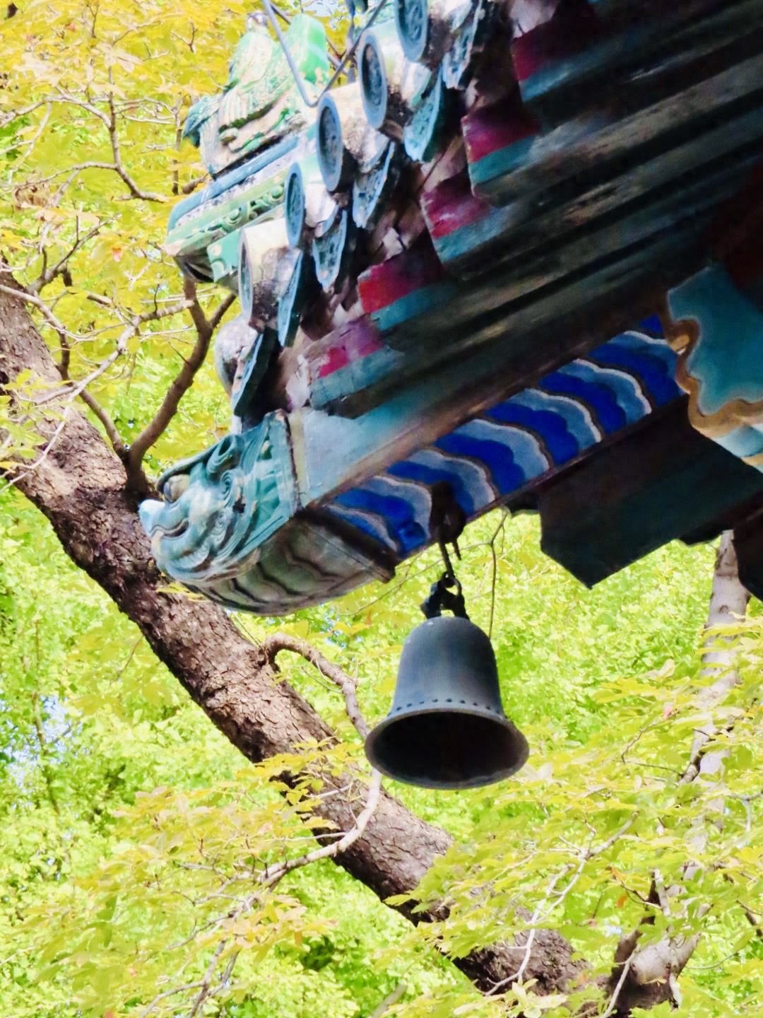 Photo by Tanzhe Temple - Close-up of temple eaves wind chimes and ginkgo tree.