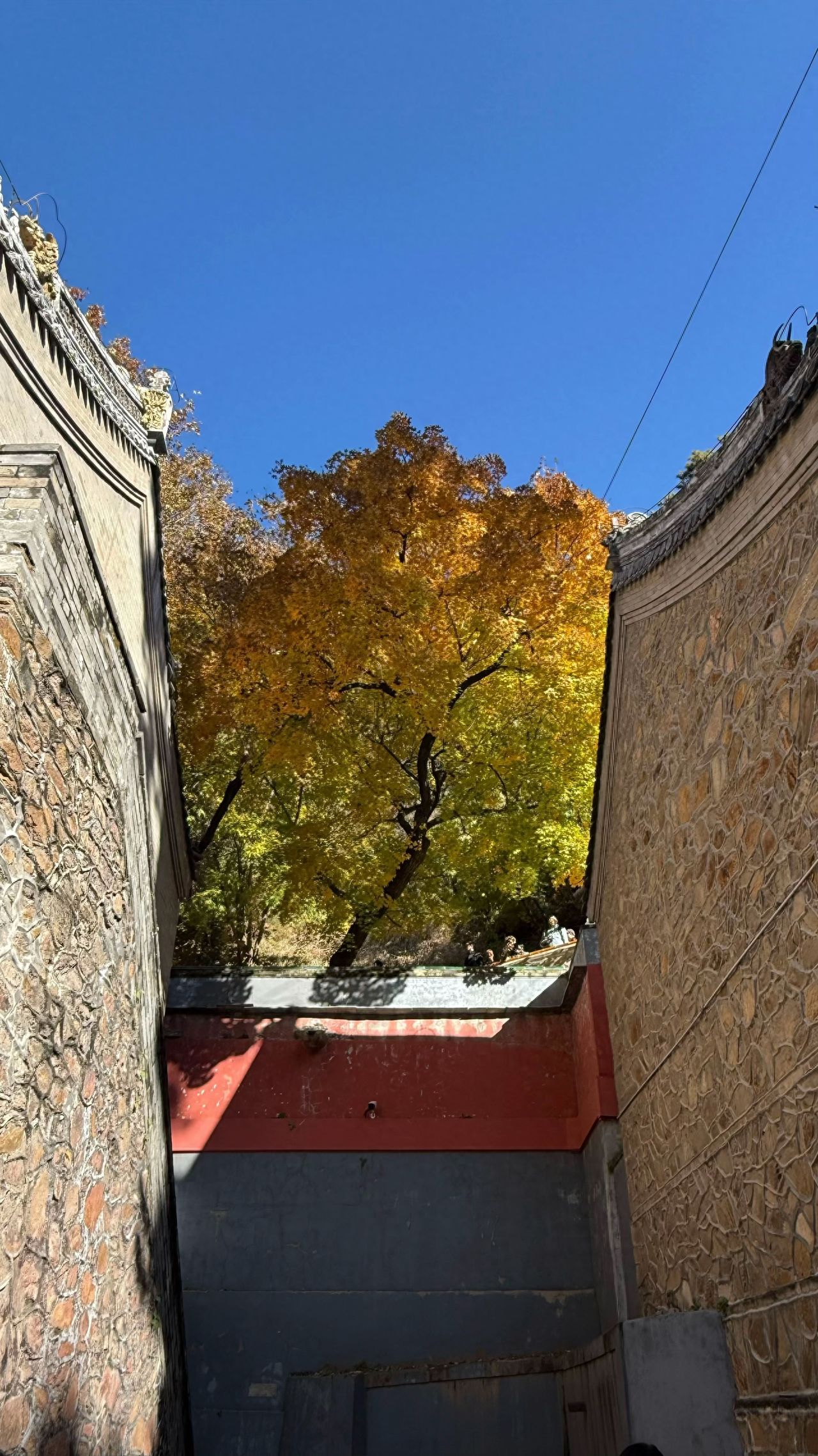 Photo by Beijing Tanzhe Temple - Red walls and trees among the buildings on both sides
