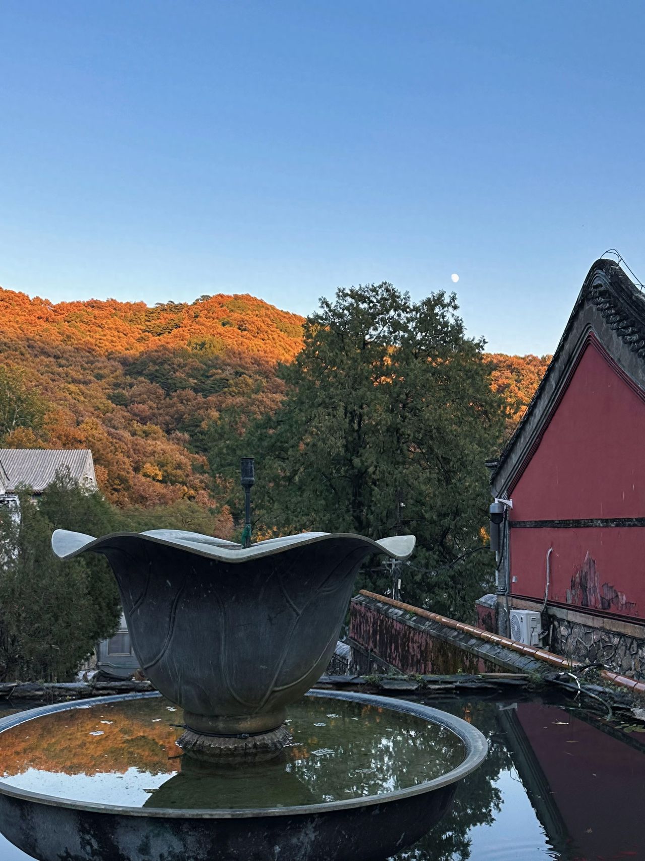 Photo by Tanzhe Temple - Courtyard Flower-shaped Pond