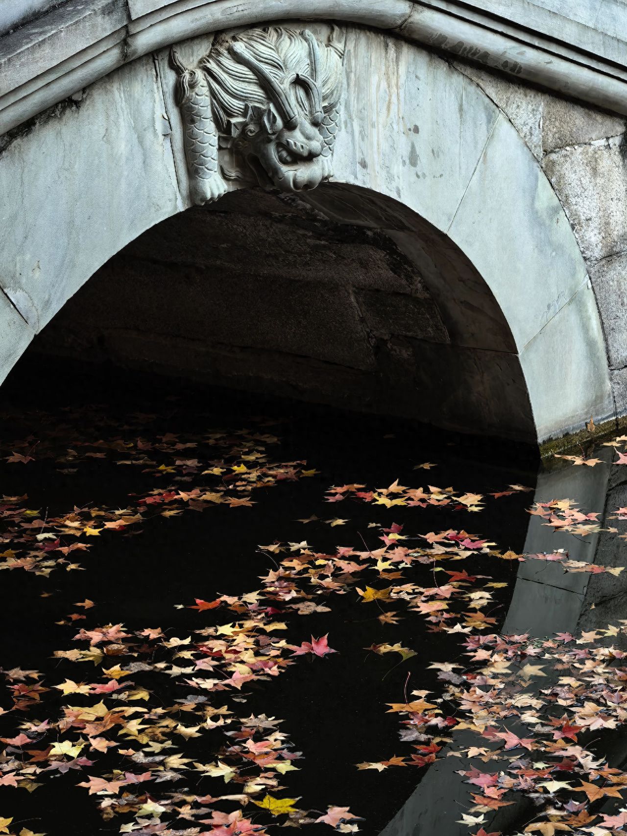 Photo by Beijing Fragrant Hills Park - Dragon Head Stone Bridge and Fallen Leaves on the Water Surface