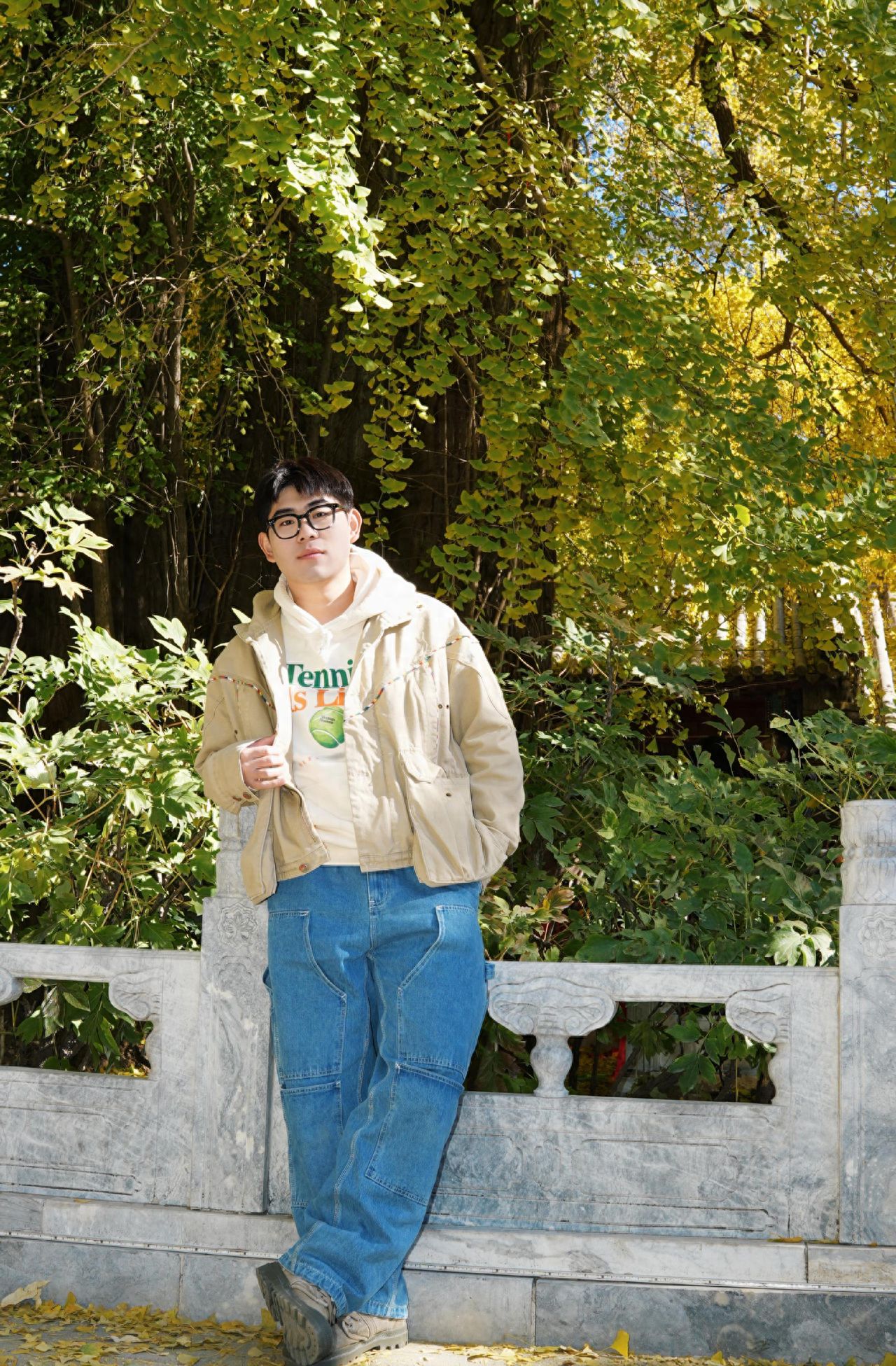 Photo by Take a photo with the ginkgo tree beside the stone railing at Tanzhe Temple.