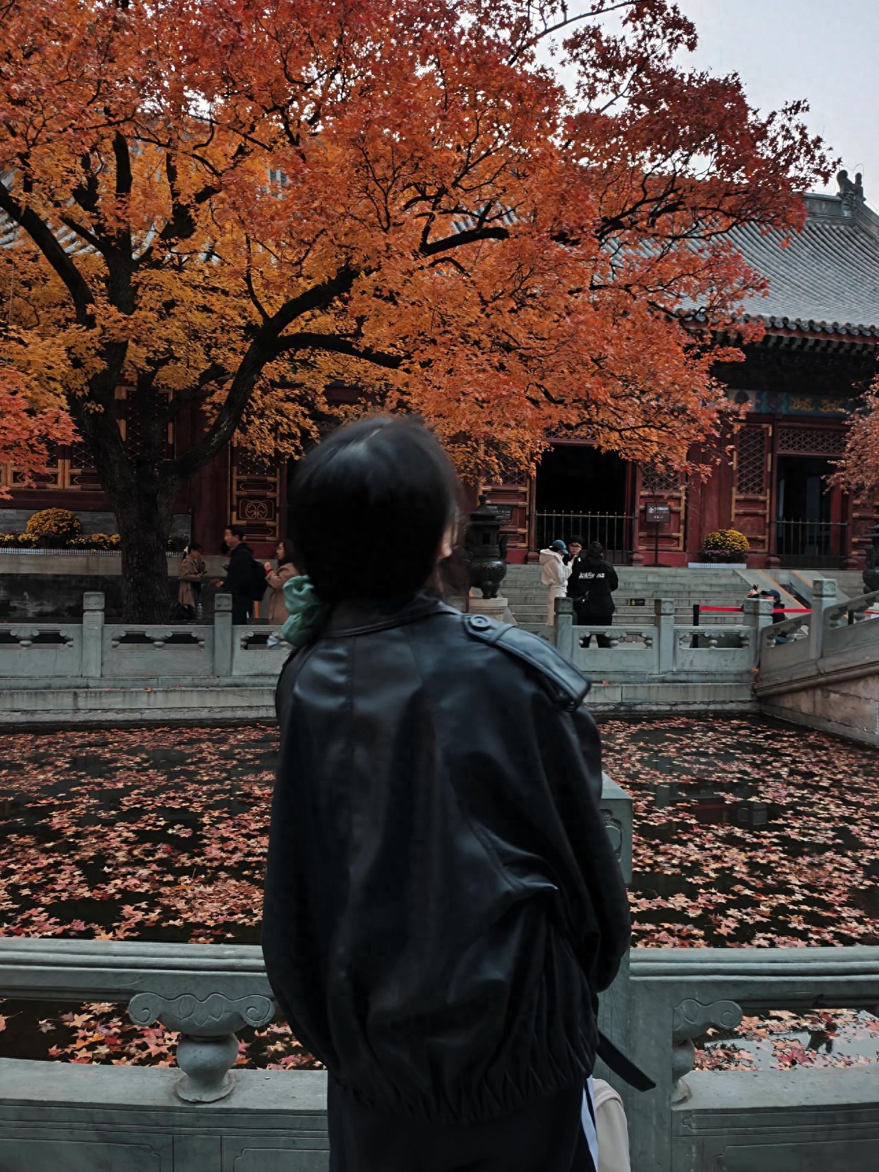 Photo by Xiangshan Park in Beijing - Take a photo with the railings by the pond and the red-leaf trees.