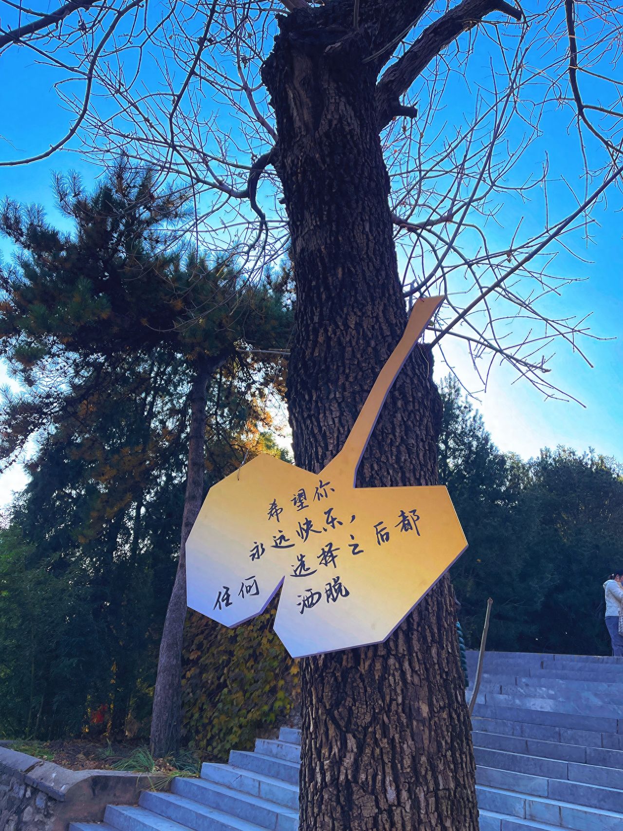 Photo by Tanzhe Temple - Capturing the paper notes on the tree branches.