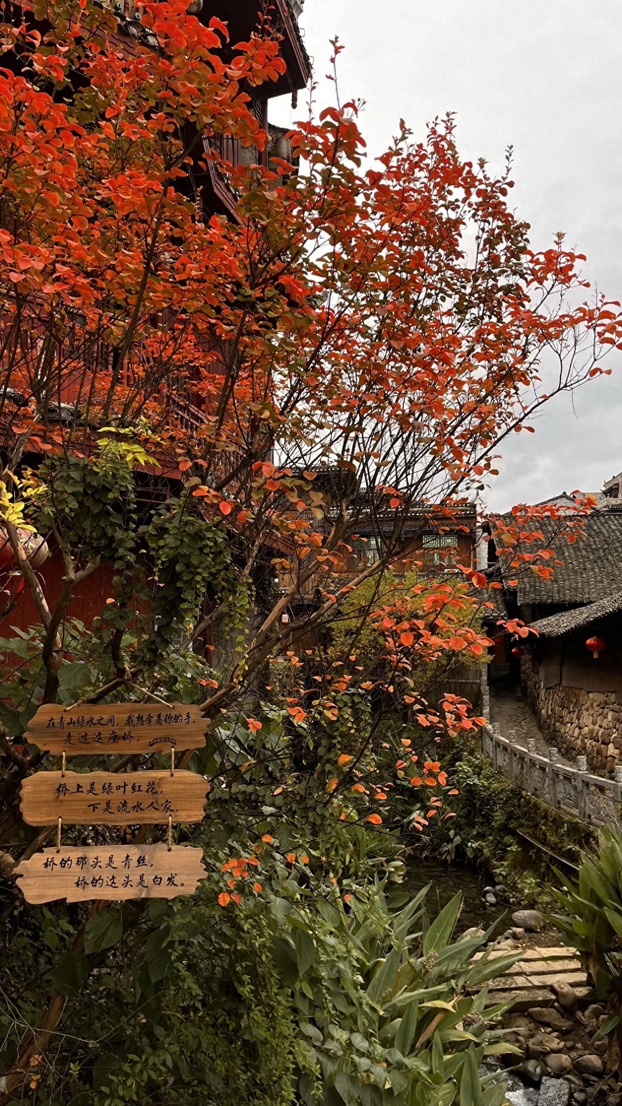 Photo by Biancheng Chadian - Red Leaf Brand and Architecture