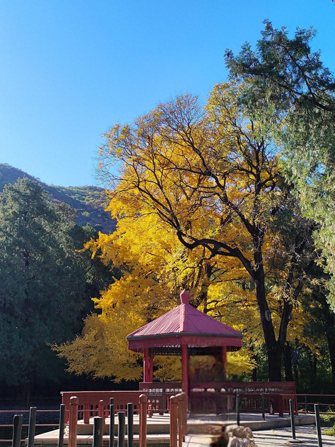 Photo by Fragrance Hill Park in Beijing - Red Pavilion, Railings Trail, and Trees