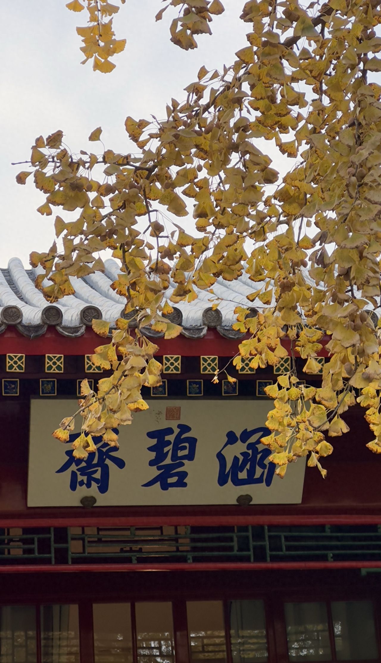 Photo by Beijing Xiangshan Park - Hanbi Zhai Plaque and Temple Architecture Ginkgo Leaves