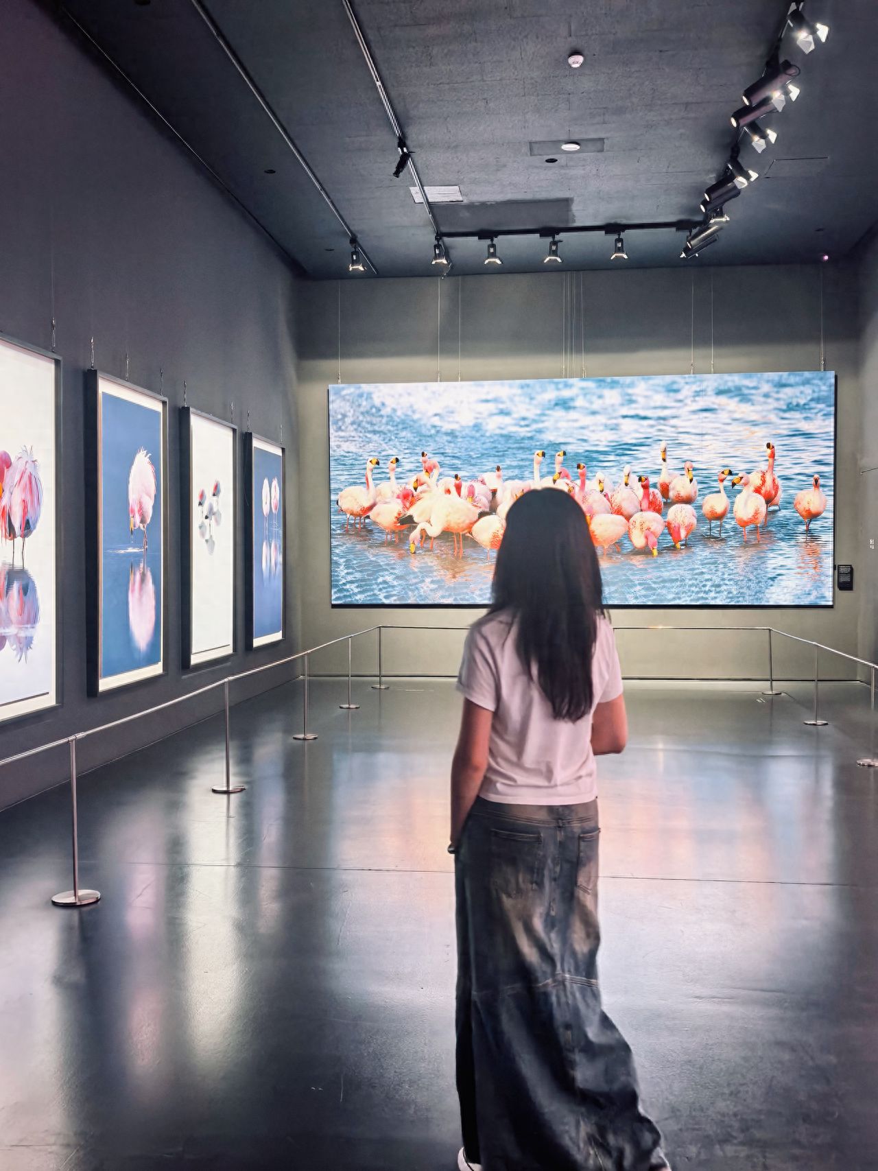 Photo by Luohong Photography Art Museum - Flamingo Photo Wall