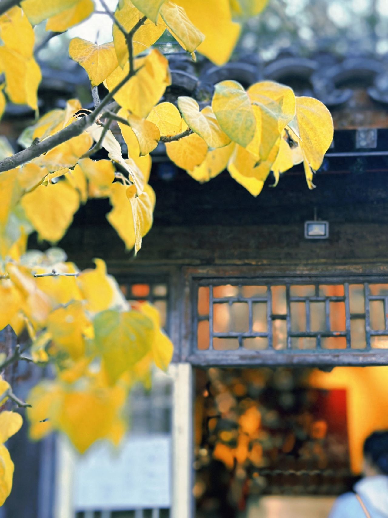 Photo by Beijing Tanzhe Temple - Yellow Pages and Wooden Door Architecture