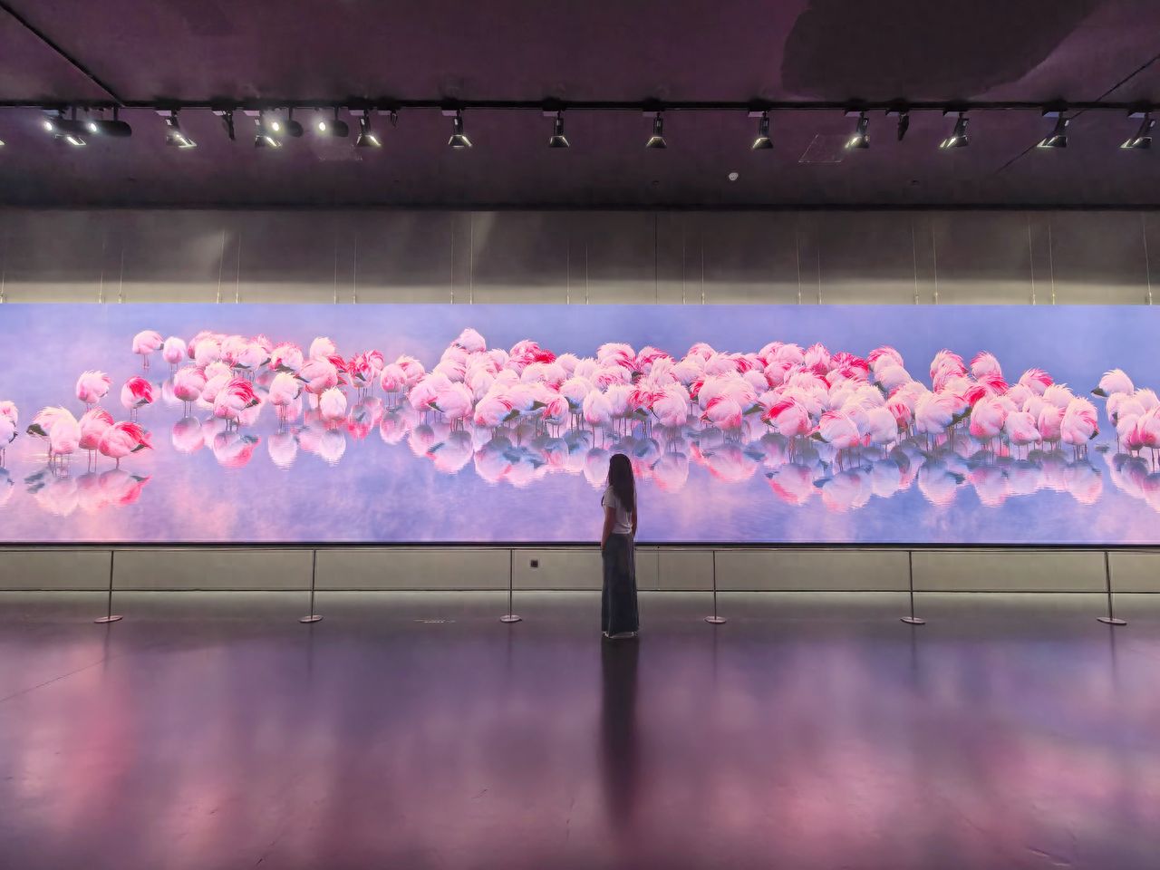 Photo by Luo Hong Photography Art Museum - Flamingo Photo Wall