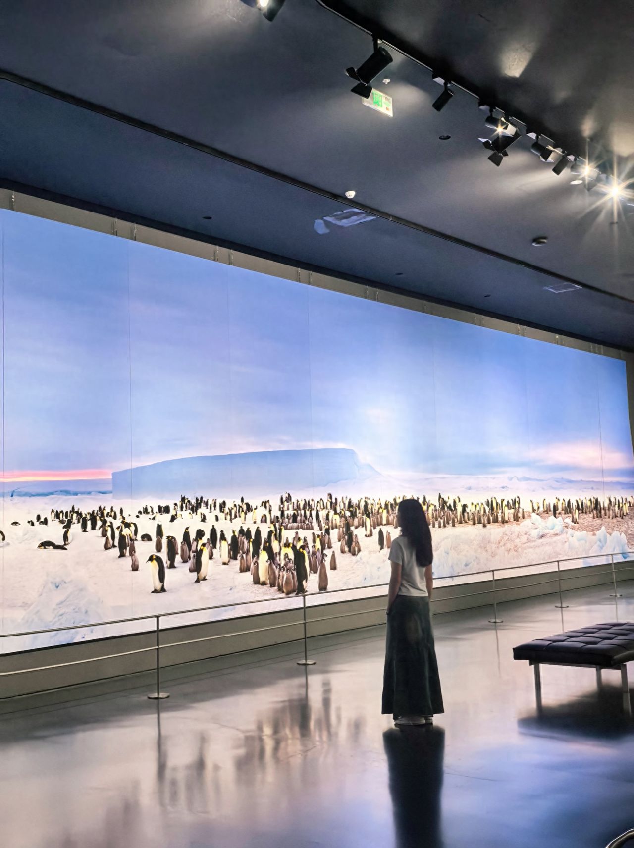 Photo by Luo Hong Photography Art Museum - Penguin Photo Wall