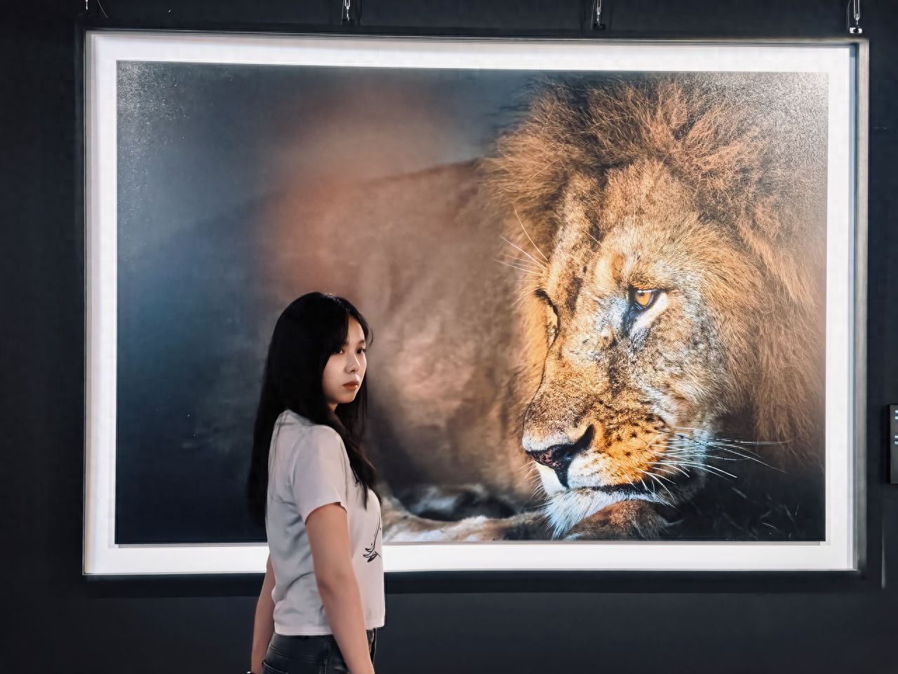 Photo by Luo Hong Photography Art Museum - Lion Photo Wall