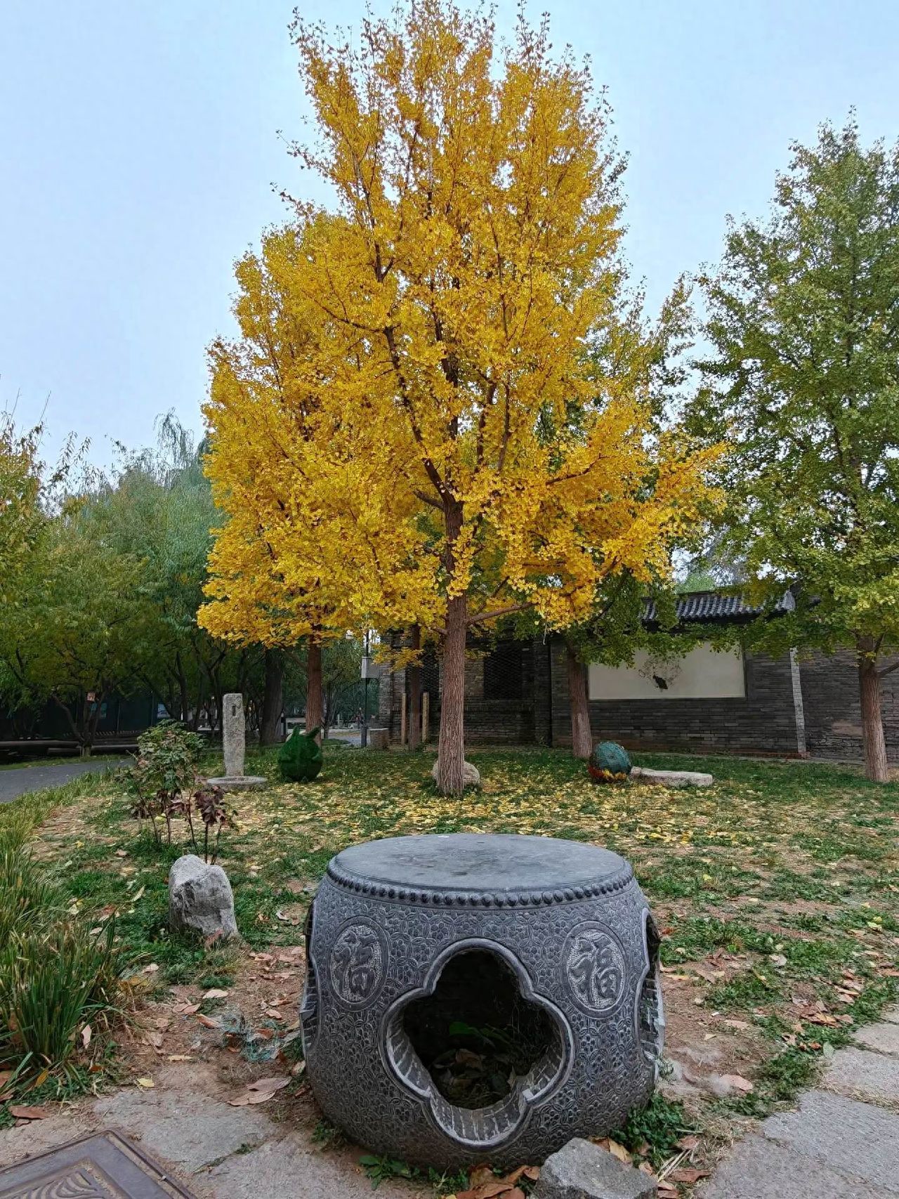 Photo by Beijing Sanlihe - Courtyard Ginkgo Trees and Fu-Character Stone Table