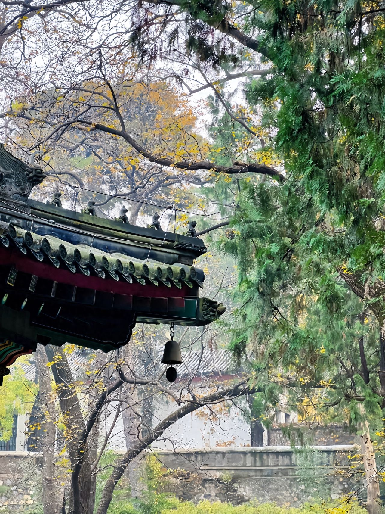 Photo by Fragrance Hill Park in Beijing - Ancient Architectural Ridge Creatures and Wind Chimes