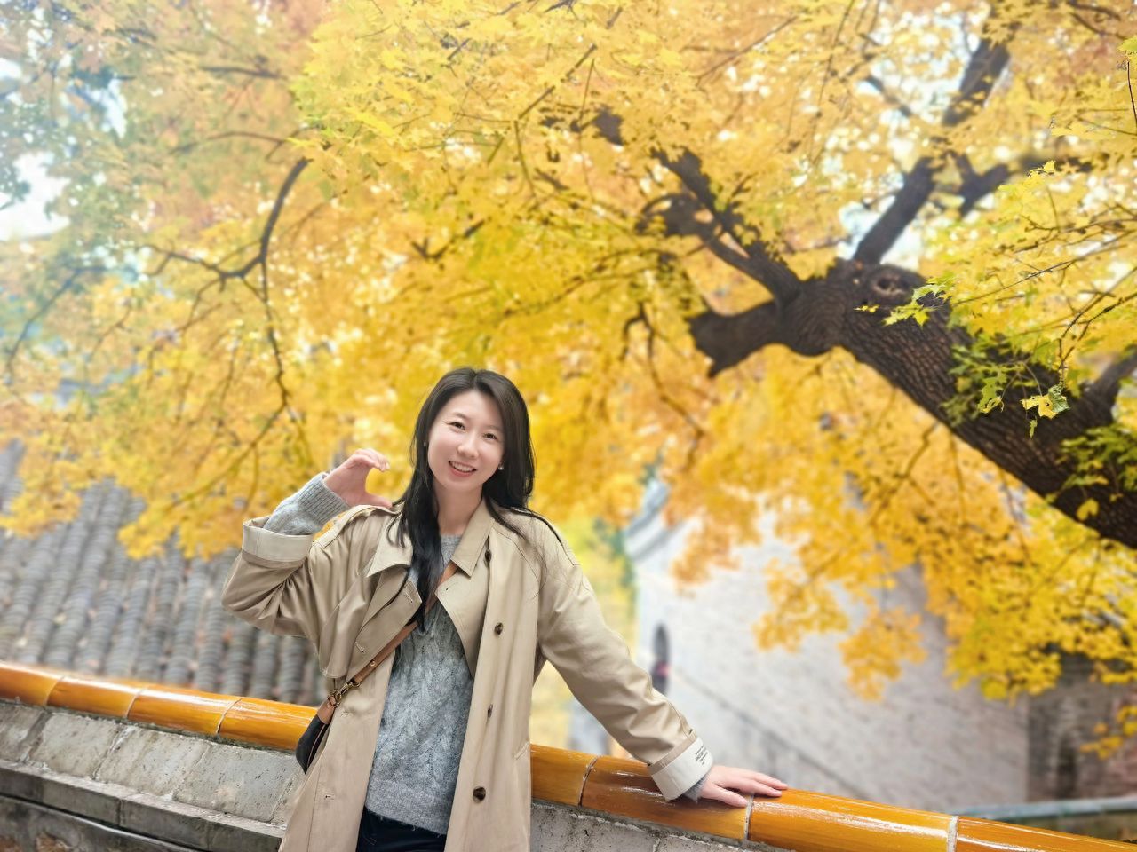 Photo by Tanzhe Temple - Take a group photo with the railing and the ginkgo tree in front of the temple buildings.