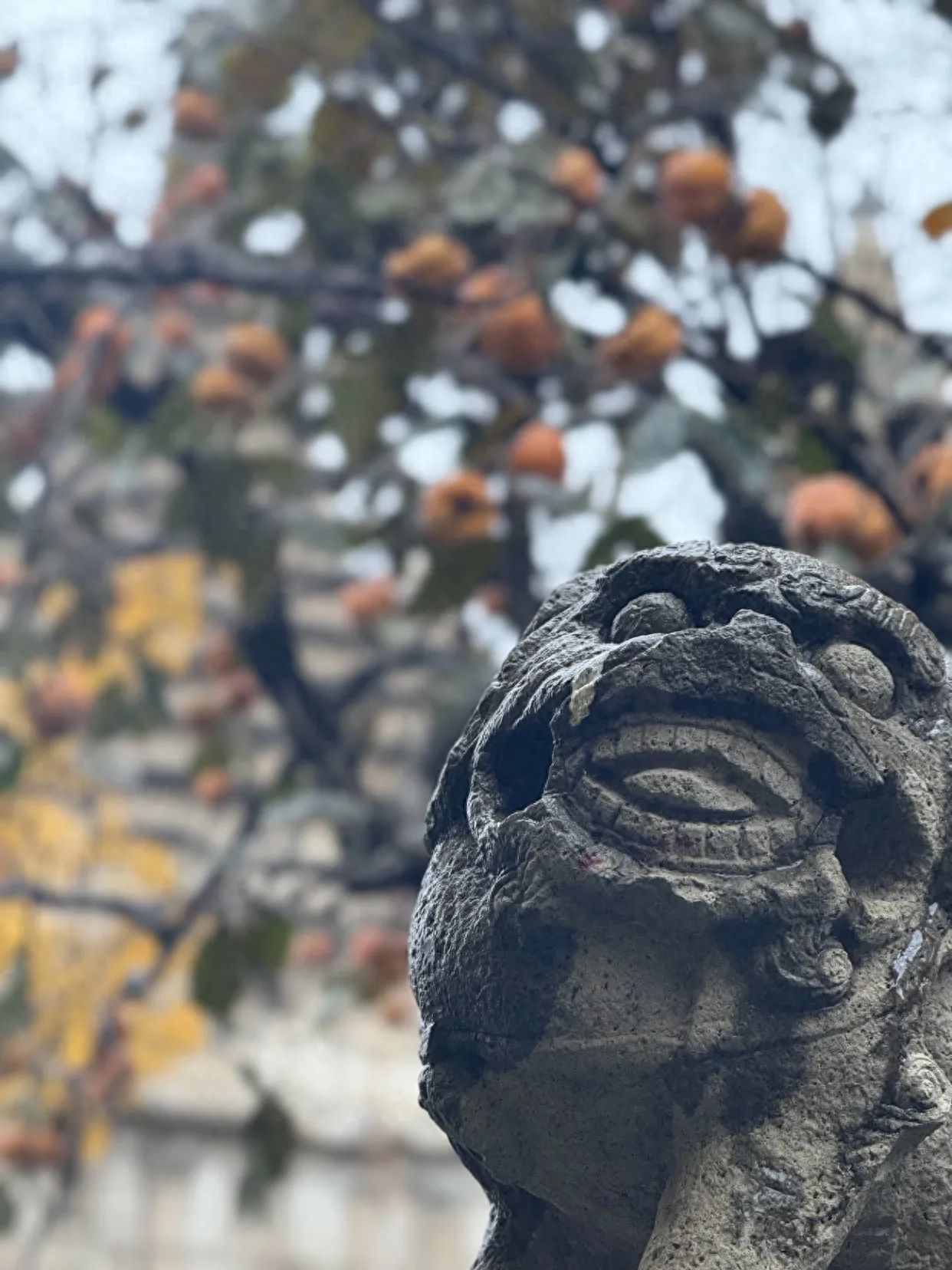 Photo by Beijing Stone Carving Art Museum - Persimmon Trees and Stone Lions
