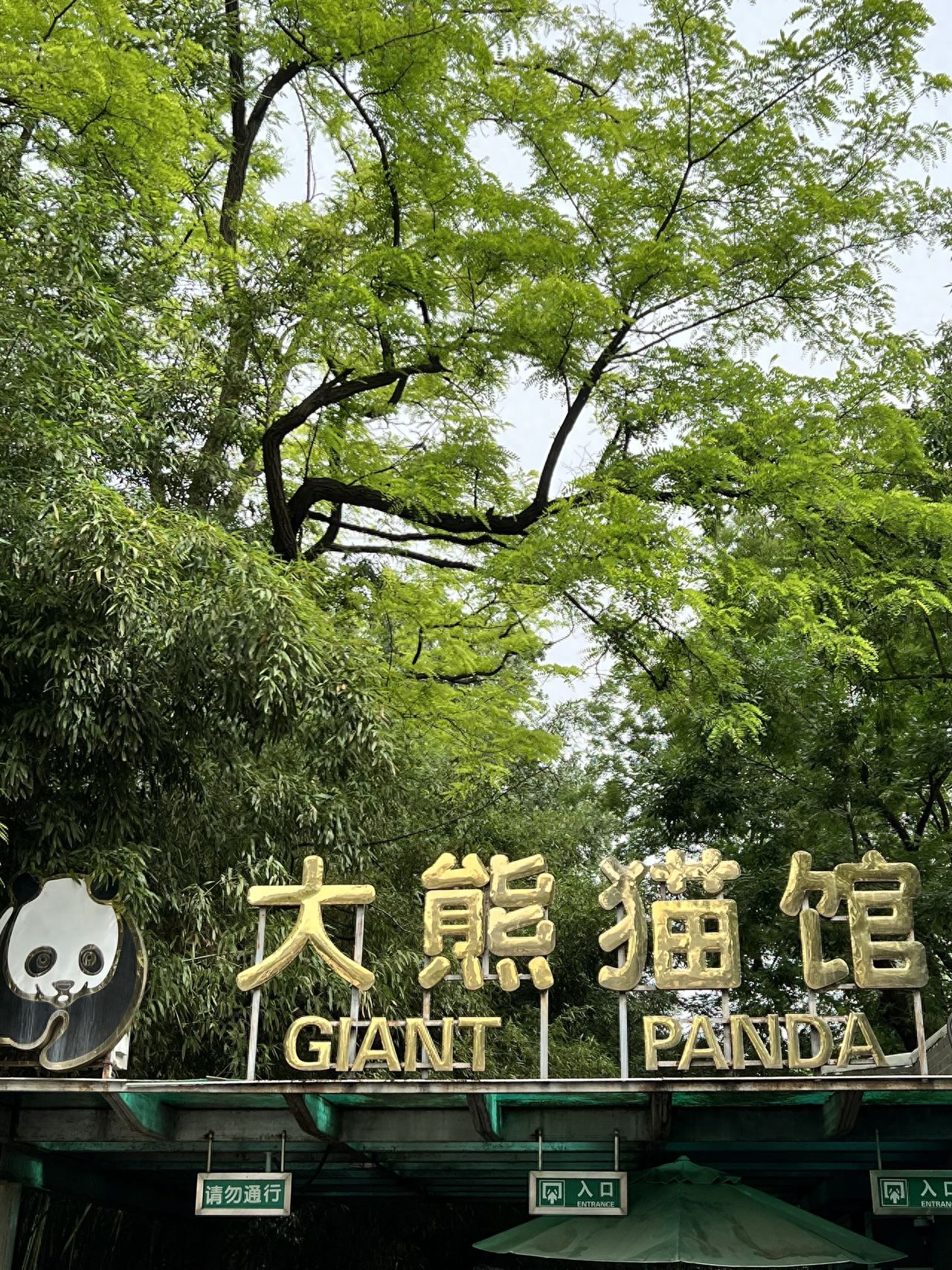 Photo by Beijing Zoo - Giant Panda Hall