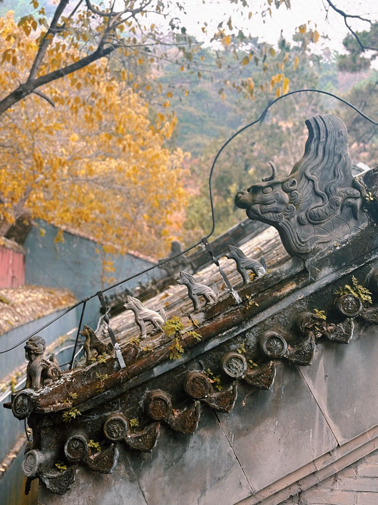 Photo by Tanzhe Temple - Architectural Eaves Stone Carvings of Dragon Heads, Ridge Beasts, and Autumn Yellow Leaves