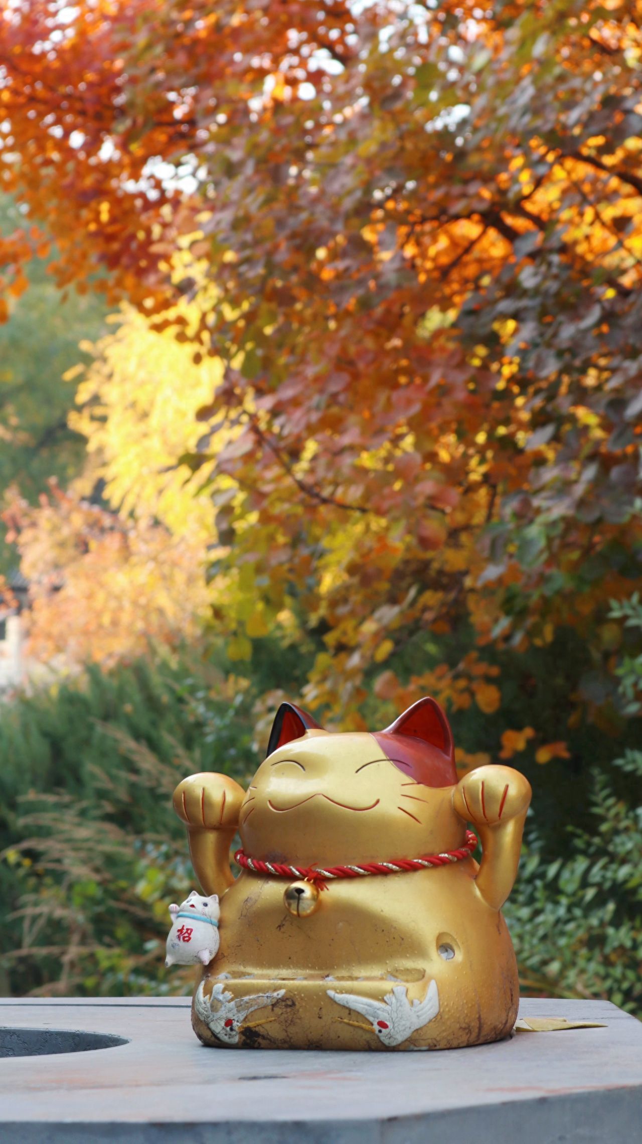 Photo by Tanzhe Temple - Maneki-neko Sculpture and Autumn Leaves