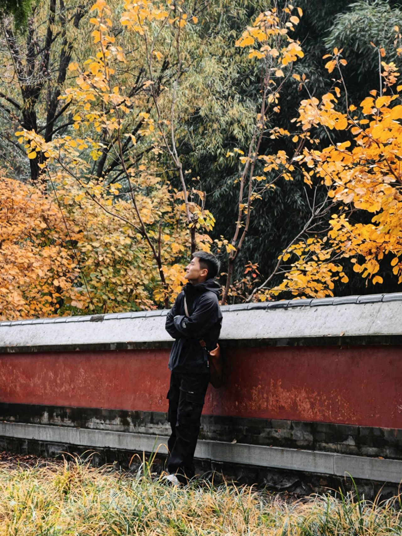 Photo by Fragrance Hill Park - Take a photo with the red walls and autumn leaves.