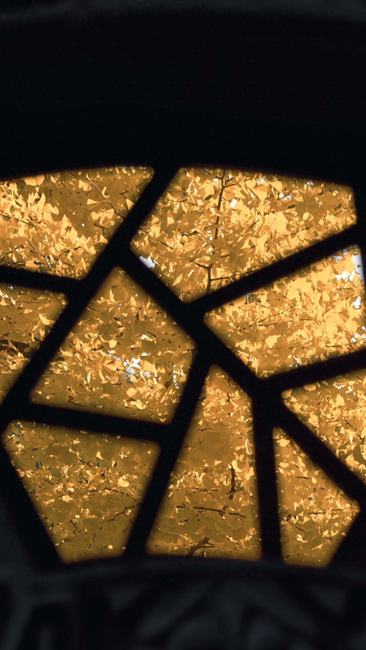 Photo by Tanzhe Temple - Capturing leaves through the window frame