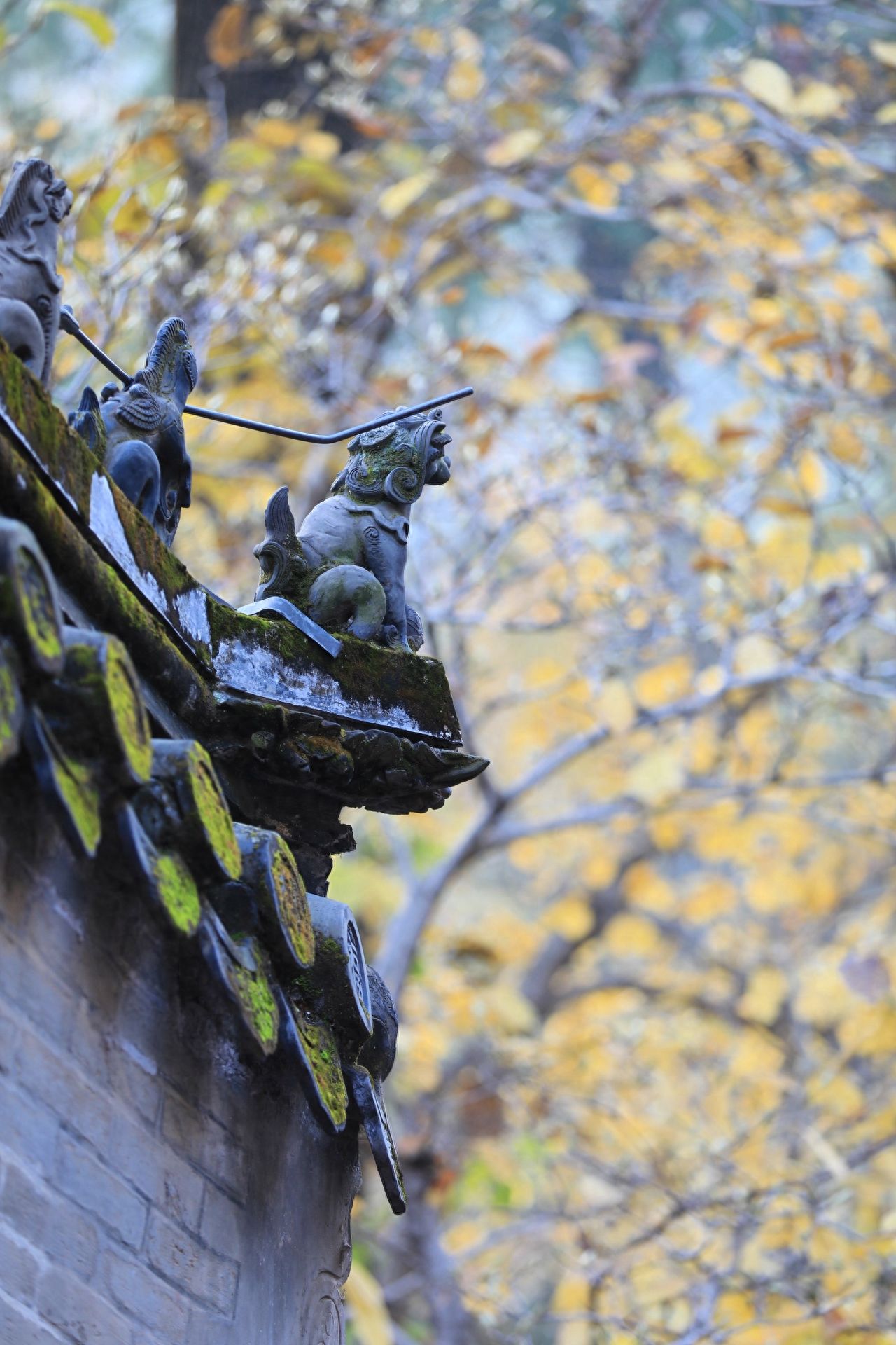 Photo by Tanzhe Temple - Close-up of Roof Tile Beasts and Ginkgo Trees
