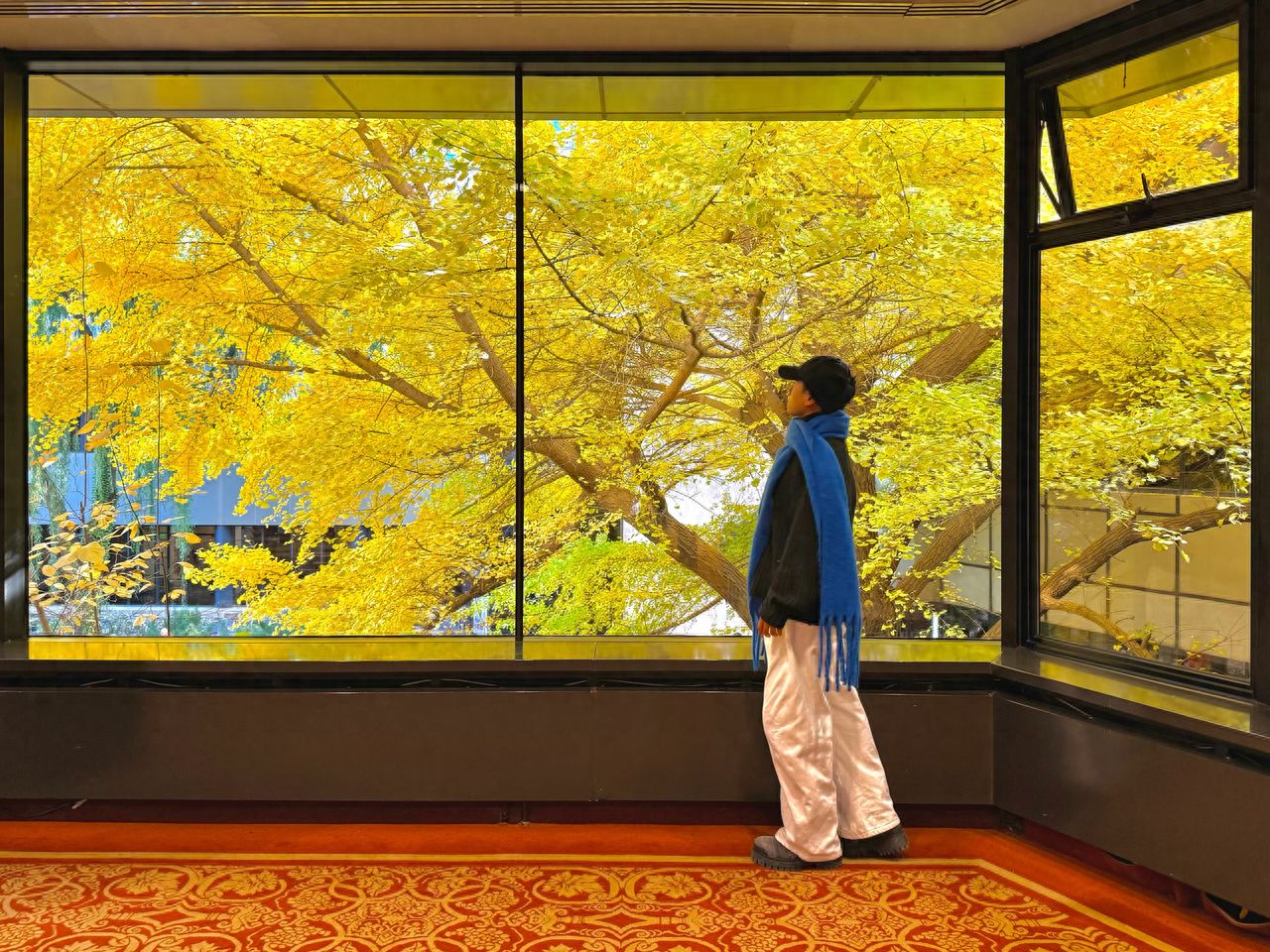 Use a framework composition, with the indoor window frame as the foreground frame, incorporating the ginkgo leaves outside the window and the building on the right into the picture. The photographer stands by the window and shoots at eye level to ensure the window frame is vertical and stable. The frame includes the entire window frame, the main ginkgo leaves, and part of the background building to enhance the sense of depth. Travel tips: It's recommended to go in the morning; there are really, really too many people in the afternoon... If you don't arrive before noon, it's suggested to first go to the first floor to shoot under the ginkgo tree, then go to the second floor to shoot by the floor-to-ceiling windows.