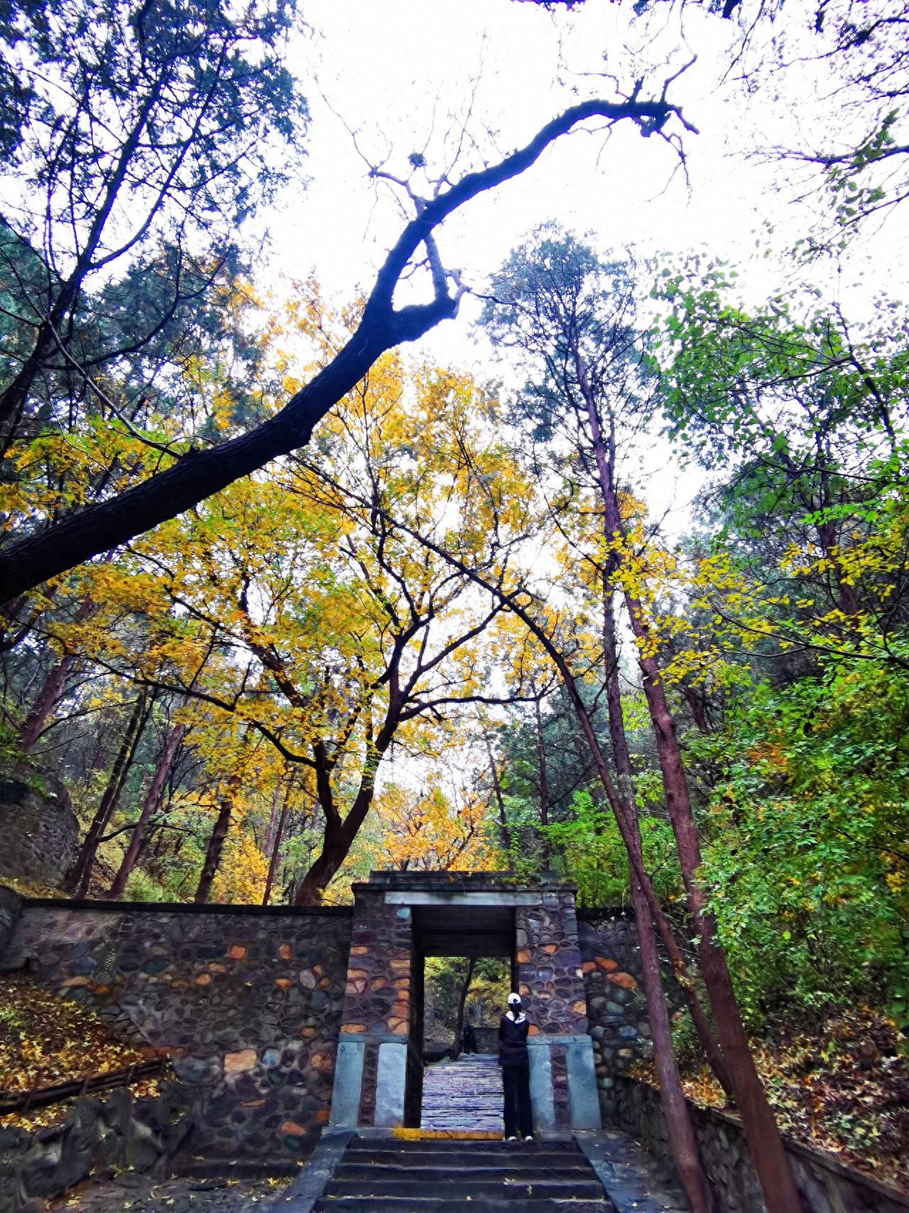 Beijing Xiangshan Park - Stone Archway and Autumn Foliage — photo spot in Xiangshan Park  , China