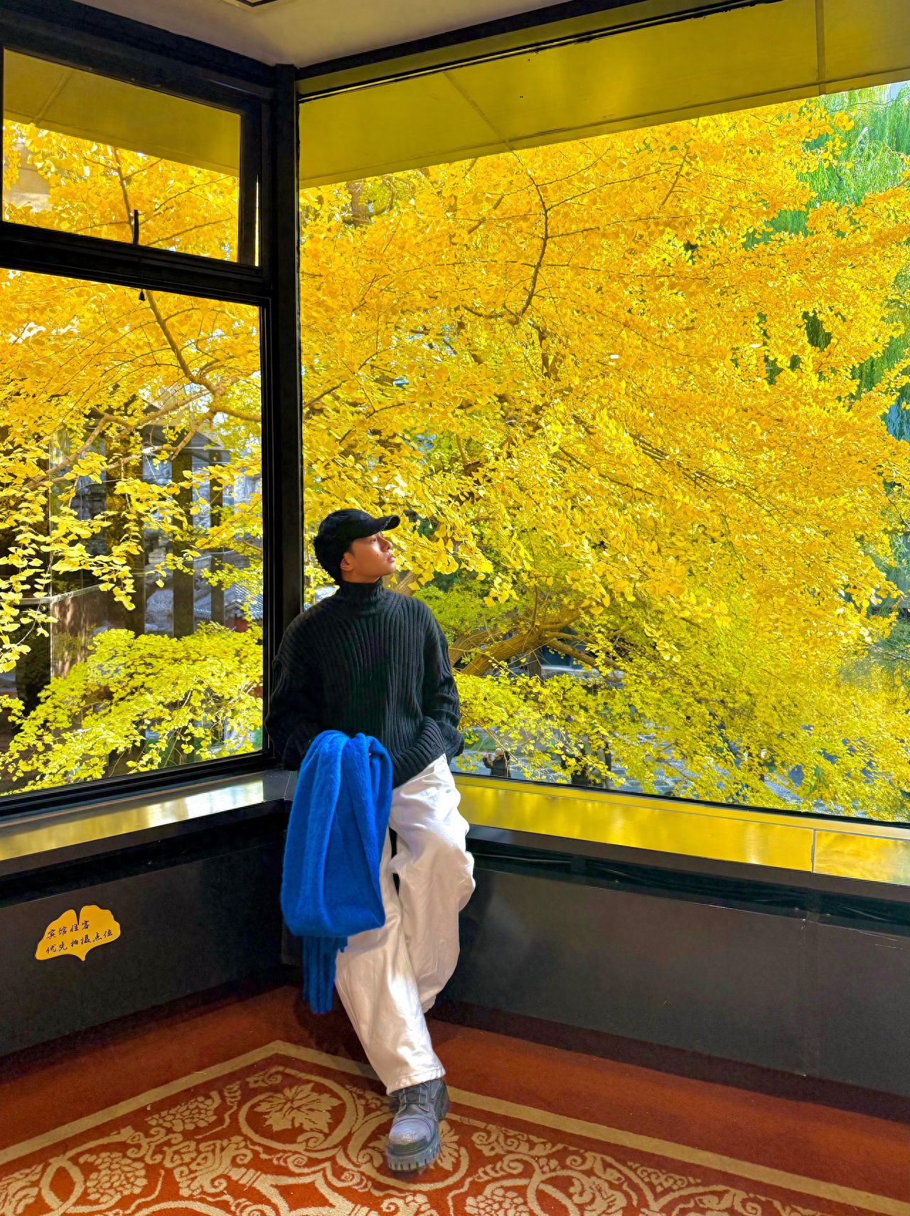 The model stands by the window, with the photographer in front of the model, capturing the model, glass window, ginkgo trees, and more using a standard lens, with the model positioned at the bottom of the frame. Wardrobe suggestion: Light-colored clothing is recommended.