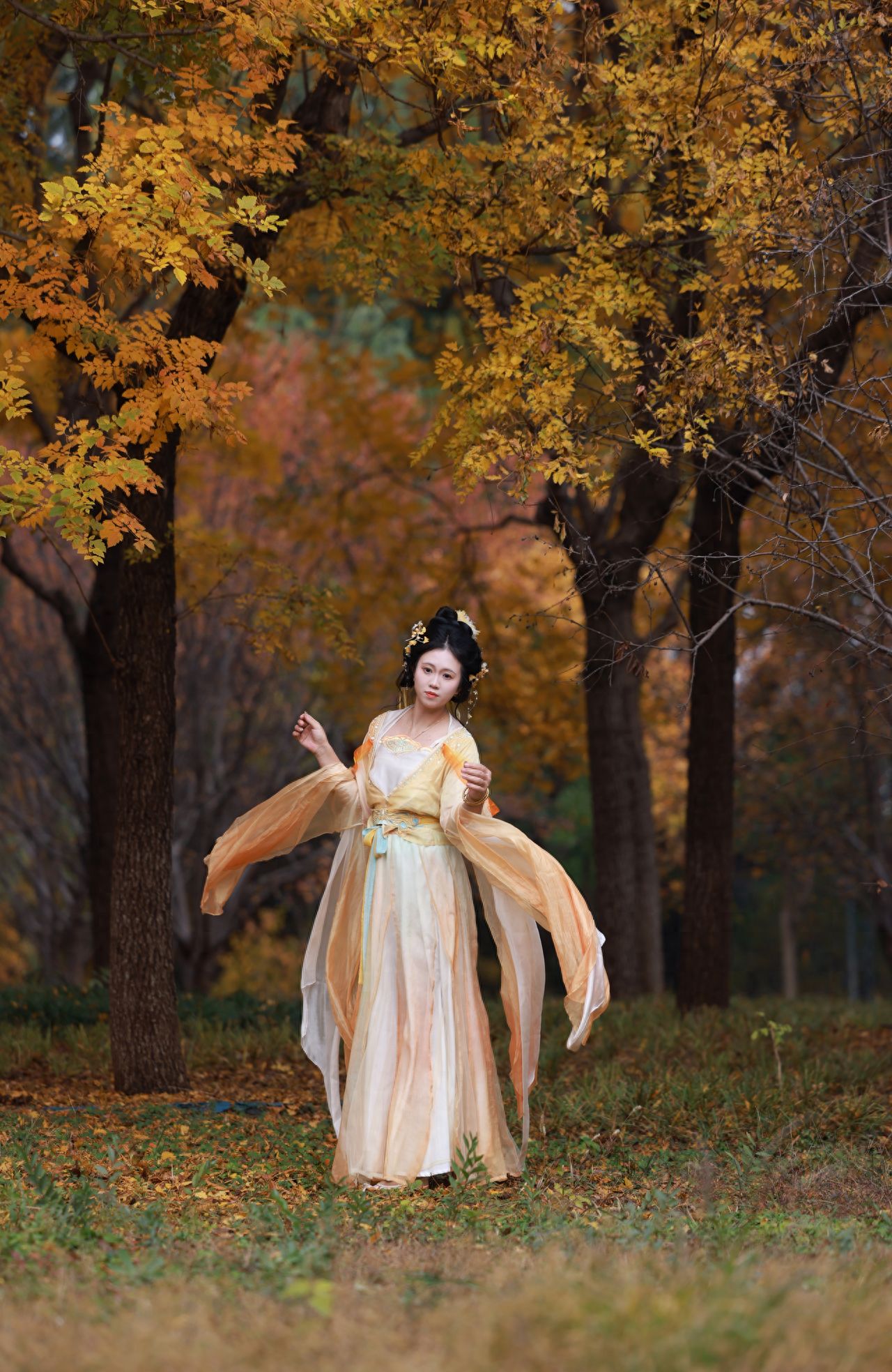 Photo by Beijing Ming City Wall Ruins Park - Autumn Leaf Forest