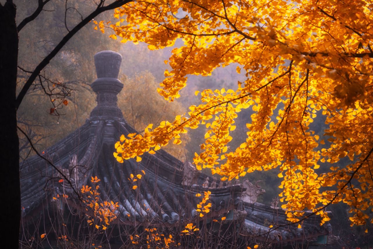 Photo by Beijing Xiangshan Park - Ancient Architectural Roof Eaves and Autumn Leaves