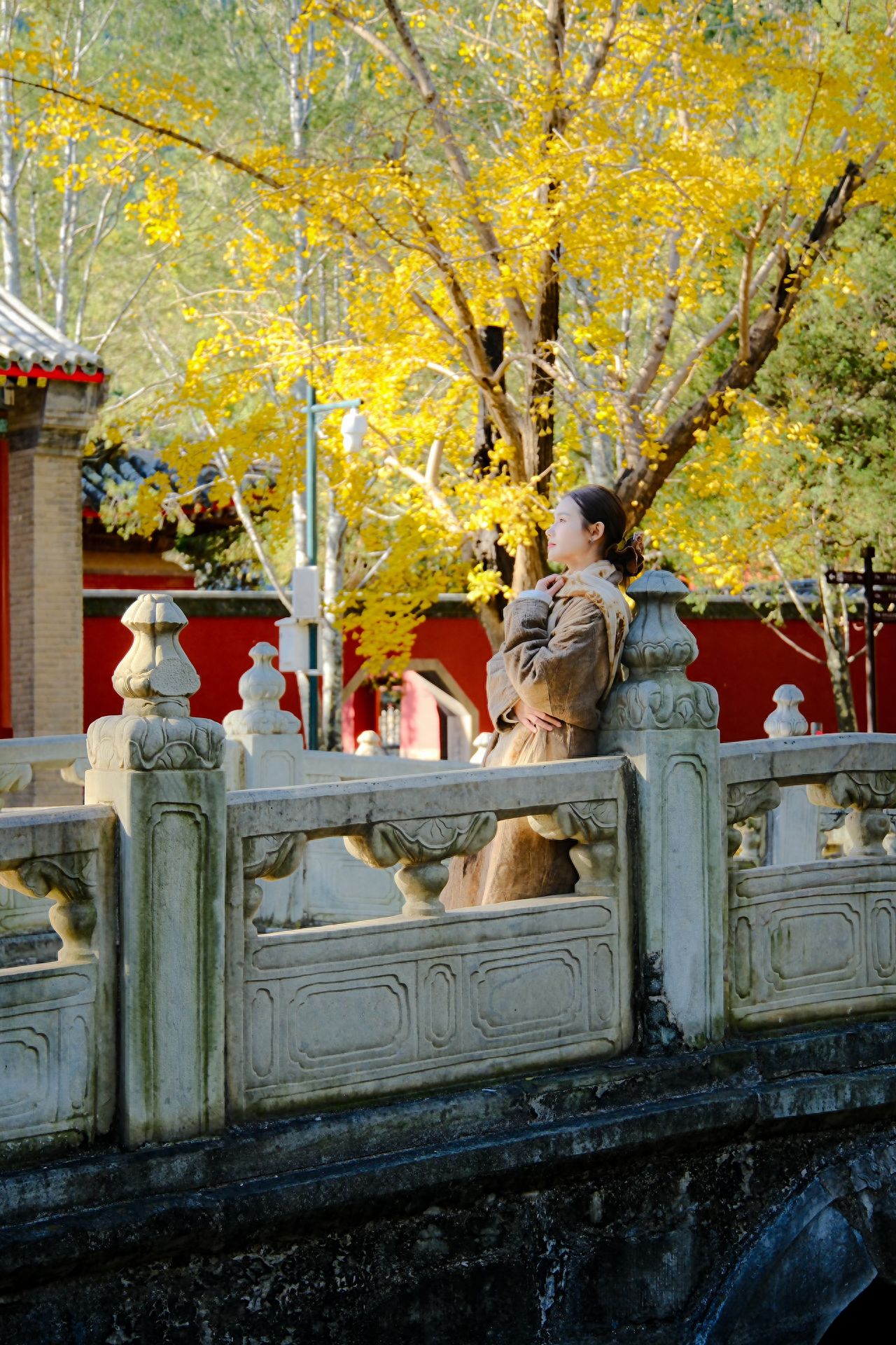 Photo by Fragrance Hill Park - Ginkgo Trees and Arch Bridge