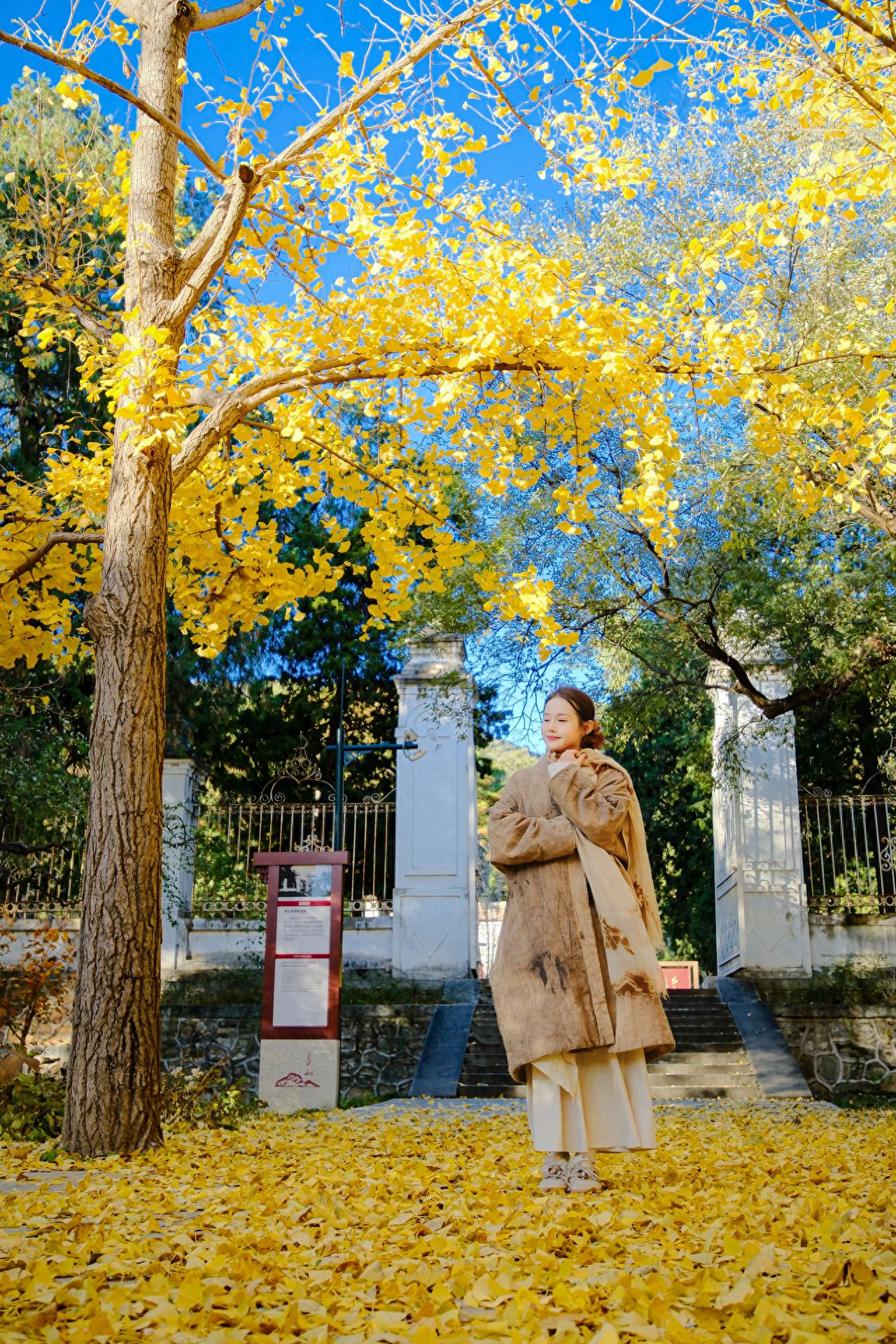 Photo by Fragrance Hill Park - Under the Ginkgo Tree