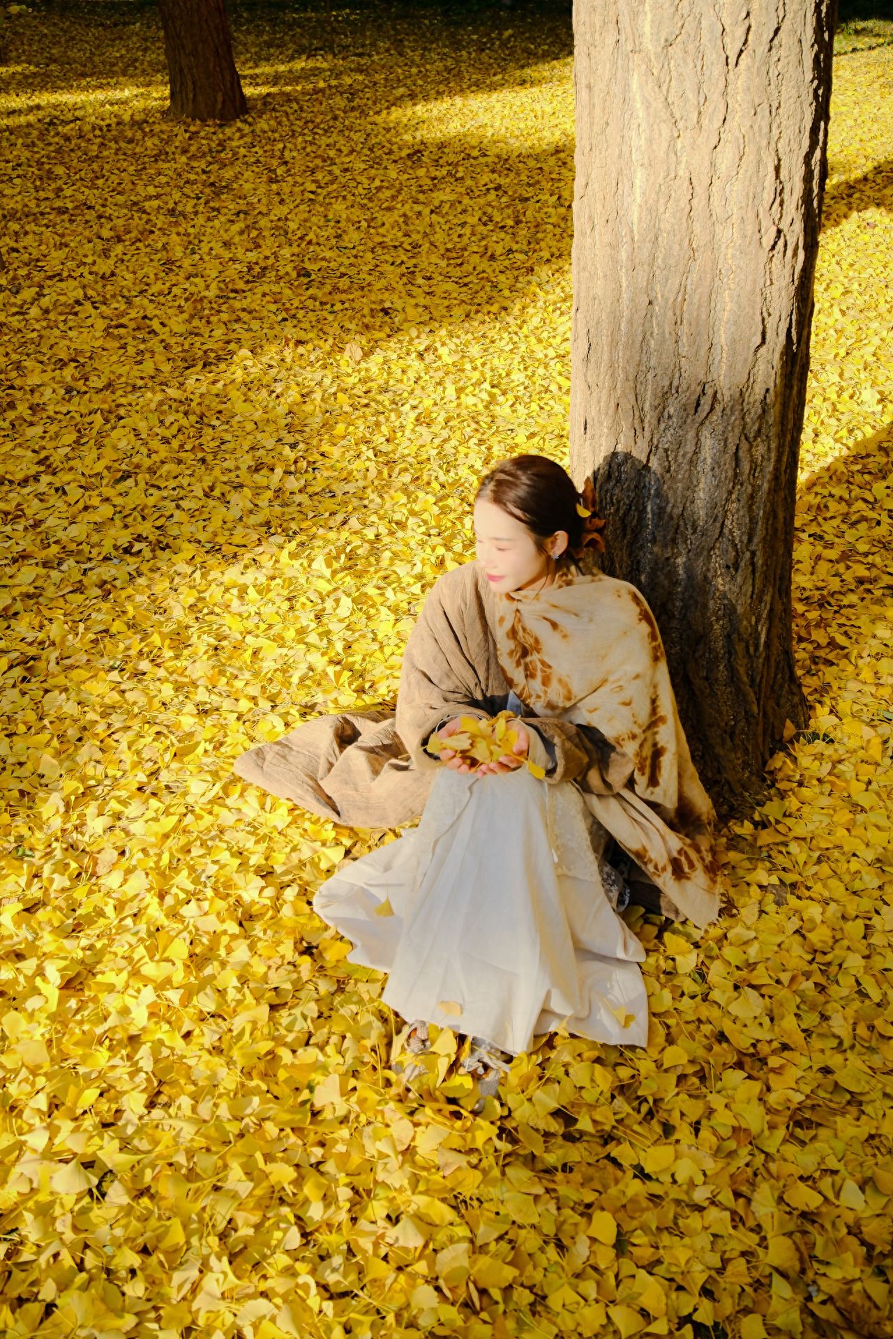 Photo by Fragrance Hill Park - Ginkgo Biloba Fallen Leaves