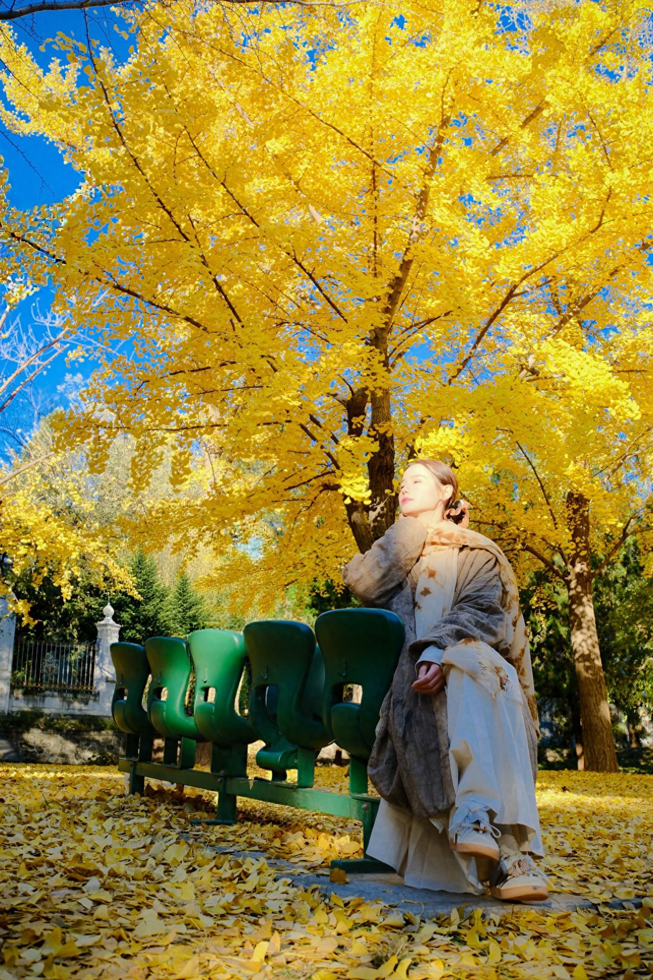 Photo by Fragrance Hill Park in Beijing - Green Seats Under the Ginkgo Trees