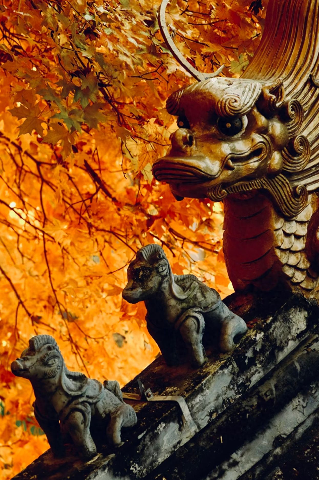 Photo by Tanzhe Temple - Dragon-shaped Sculptures, Roof Ridge Beasts, and Trees