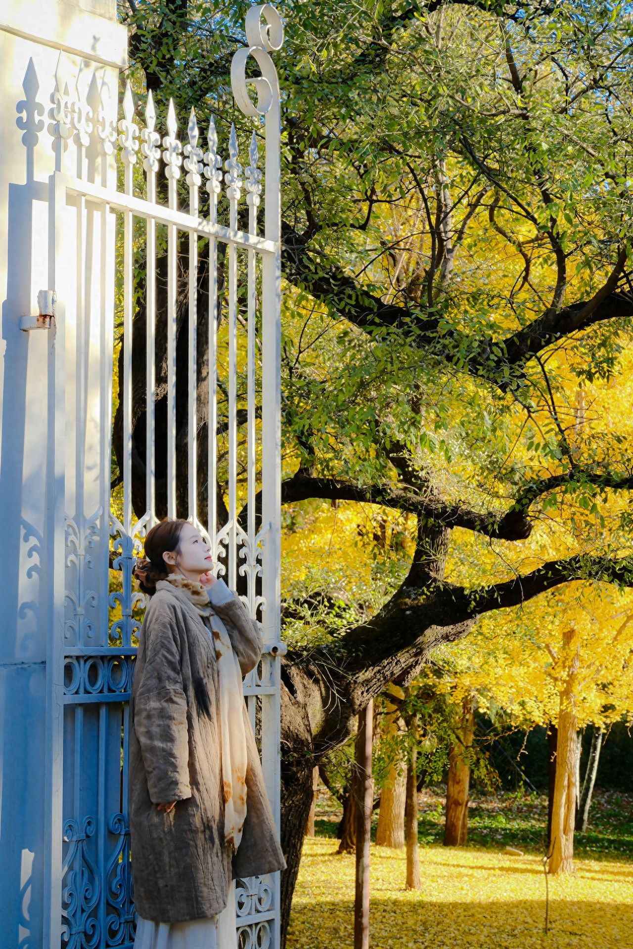 Photo by Fragrance Hill Park - White Iron Gate and Ginkgo Forest