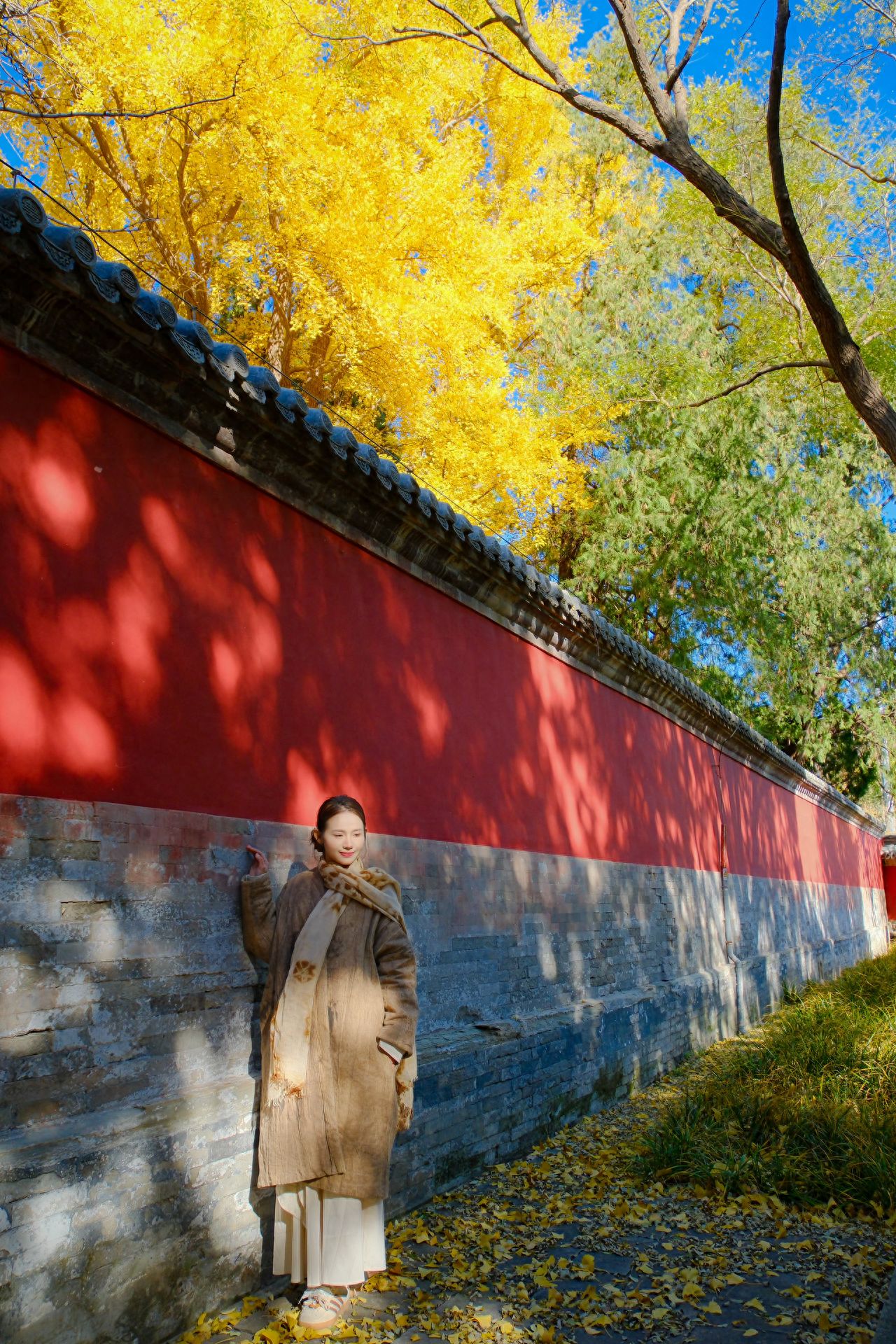 Photo by Fragrance Hill Park - Red Walls and Ginkgo Trees