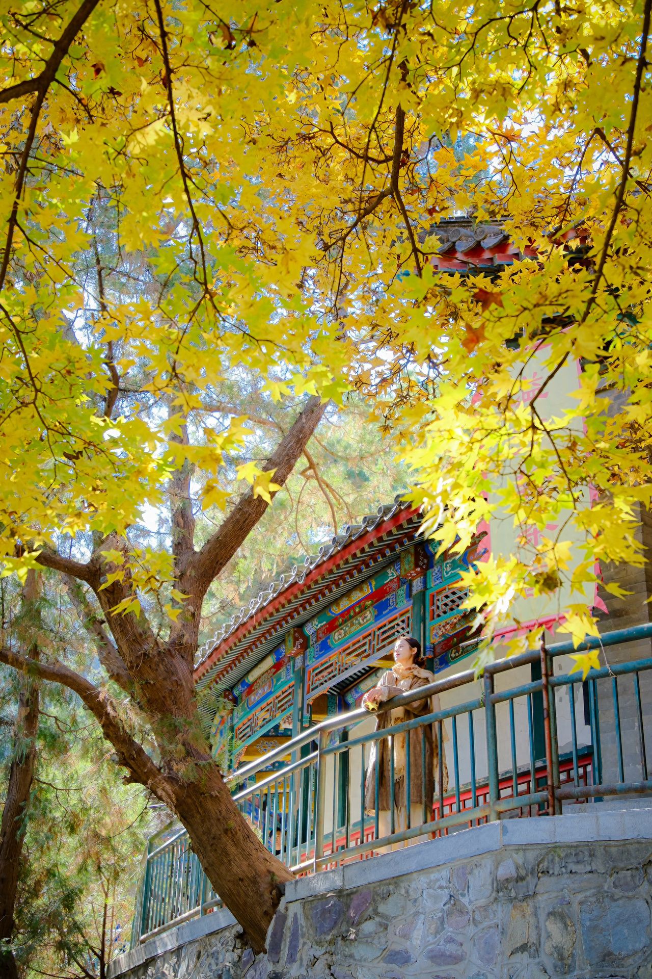 Photo by Beijing Xiangshan Park - Vintage Covered Corridor and Ginkgo Trees